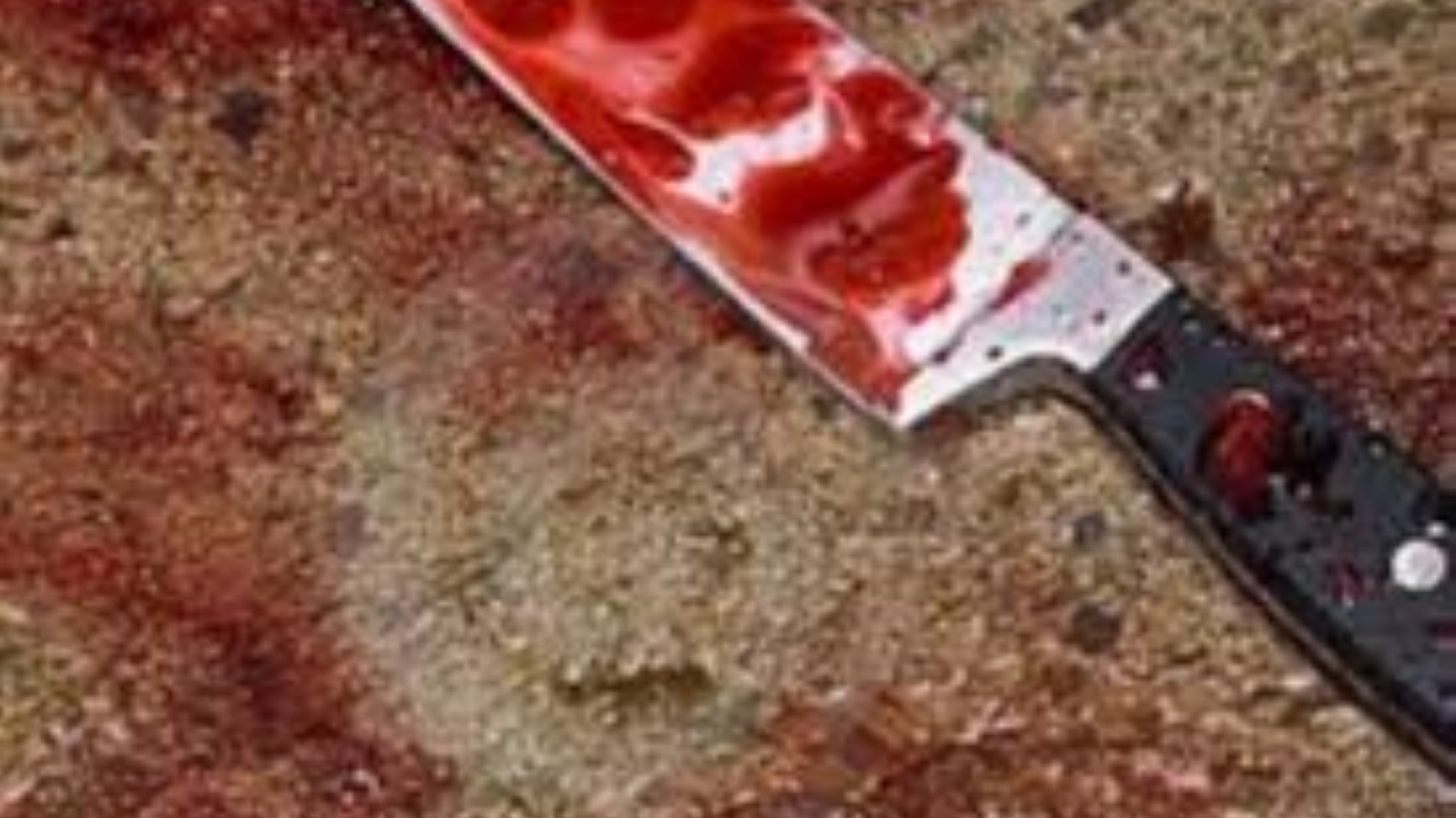 La joven que apuñaló 30 veces a su novio sexagenario tenía antecedentes