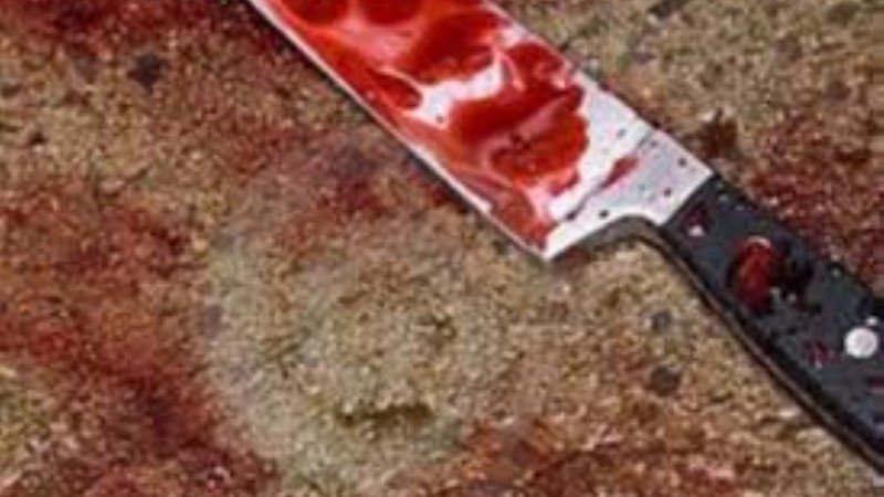 ¡Brutal! Con un cuchillo le desfiguraron la cara a una chica y debió recibir 25 puntos