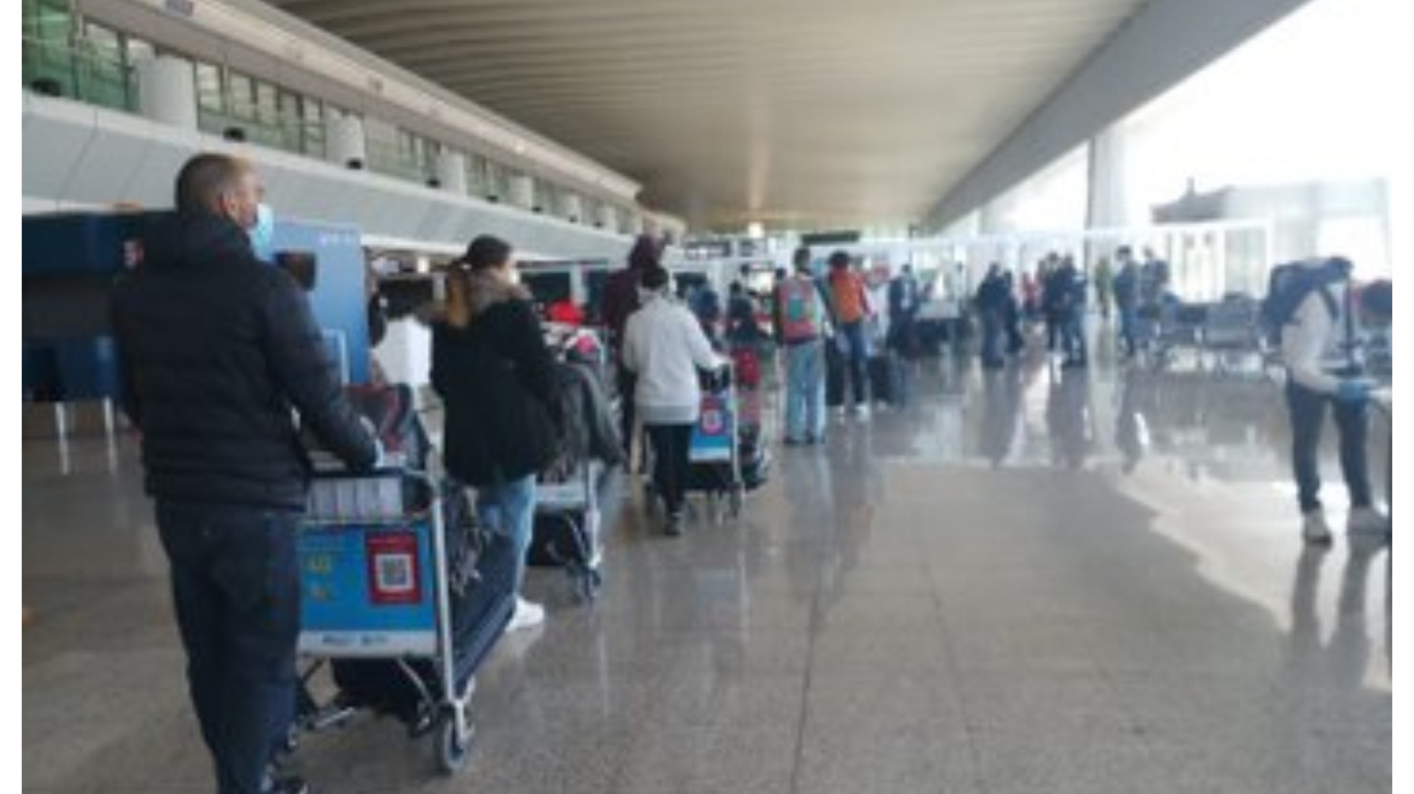 Llegaron más de 200 argentinos desde Italia está madrugada