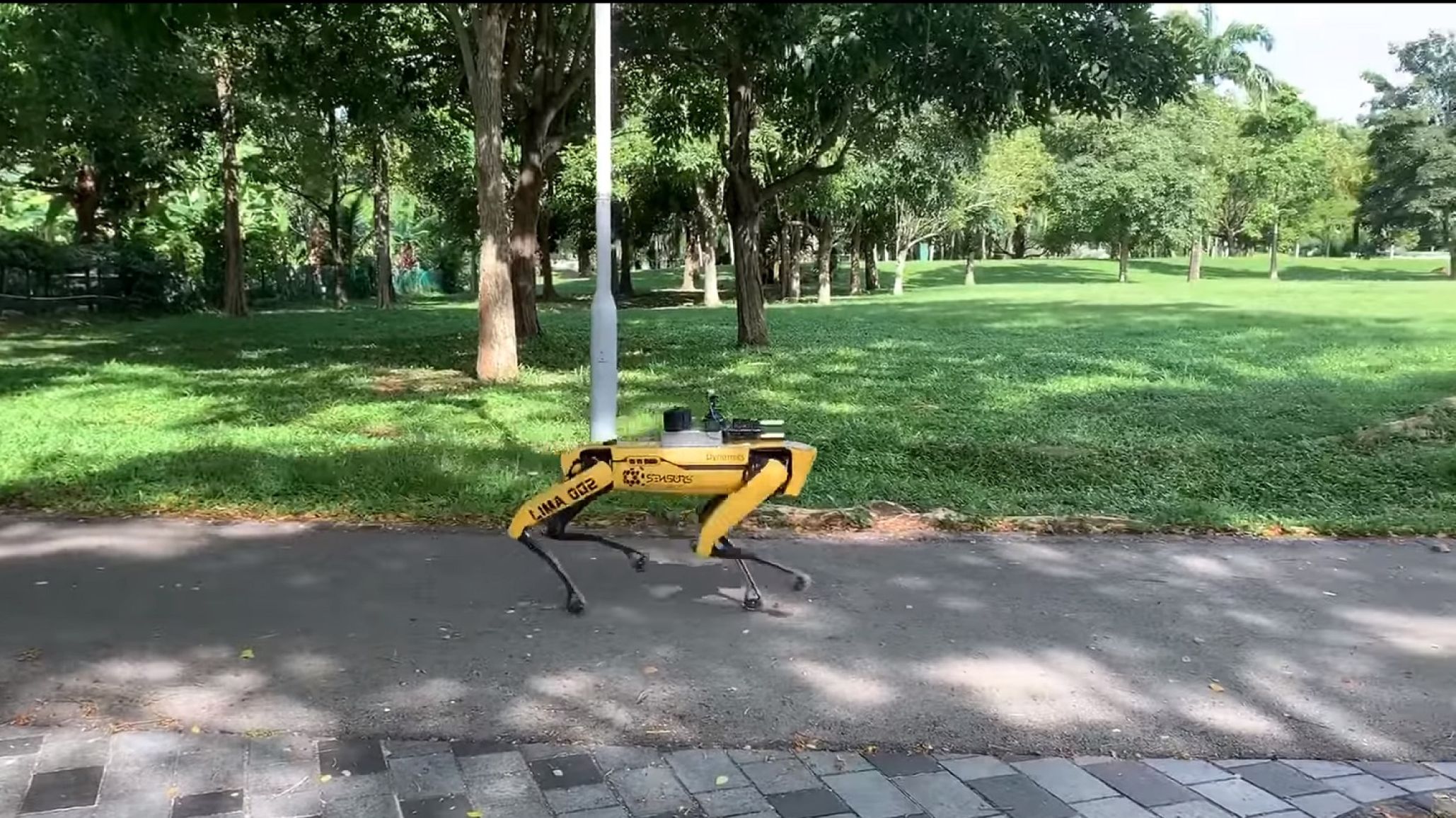Robots patrullan las calles para asegurar el distanciamiento social en Singapur