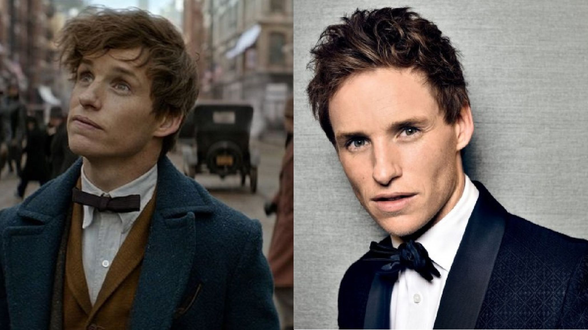 “Newton Scamander” lee a sus fanáticos un capítulo de Harry Potter