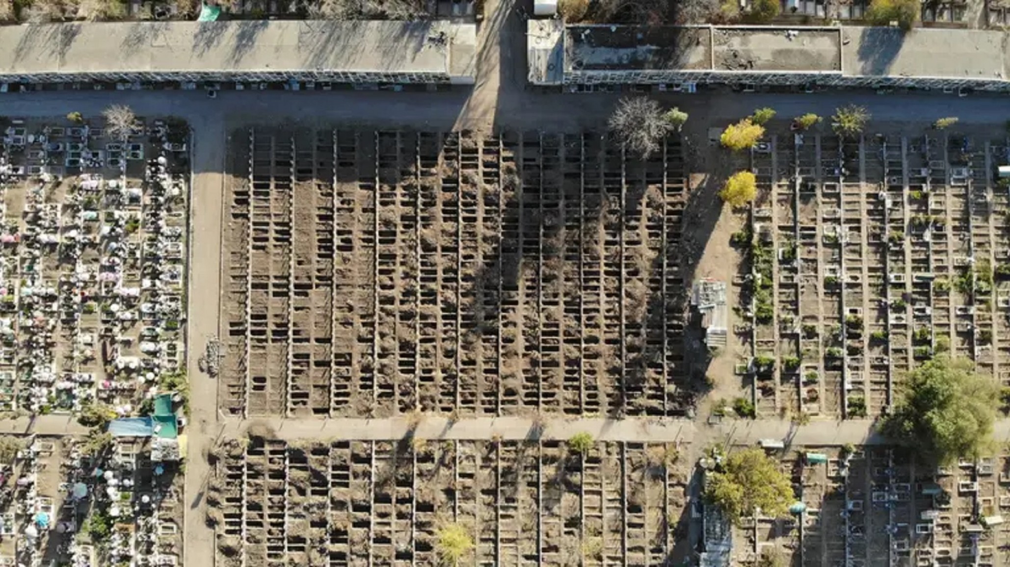 Chile se prepara para lo peor del coronavirus: cavan 1.000 tumbas