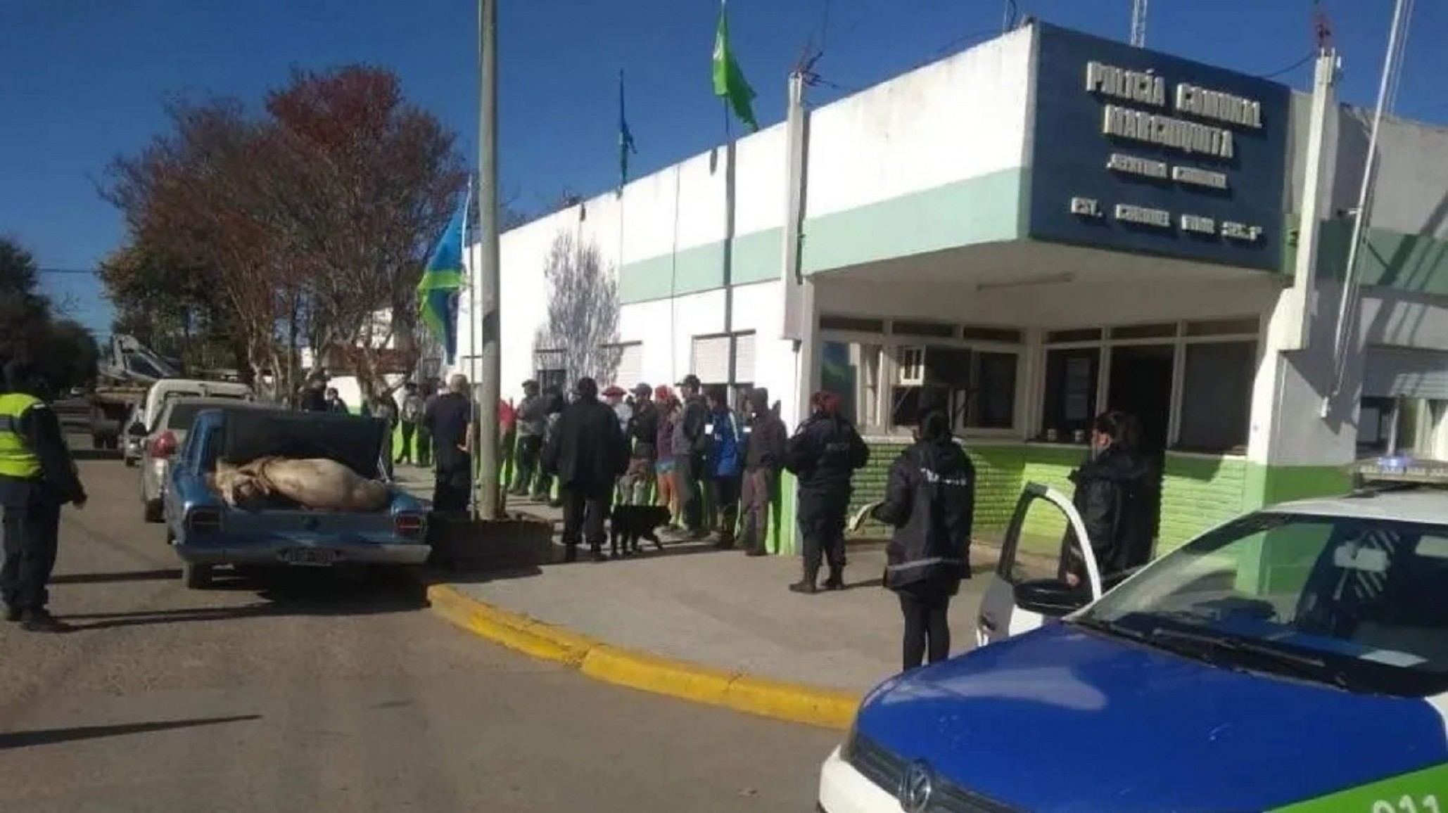 Volcó un camión con cerdos y fue saqueado por los vecinos