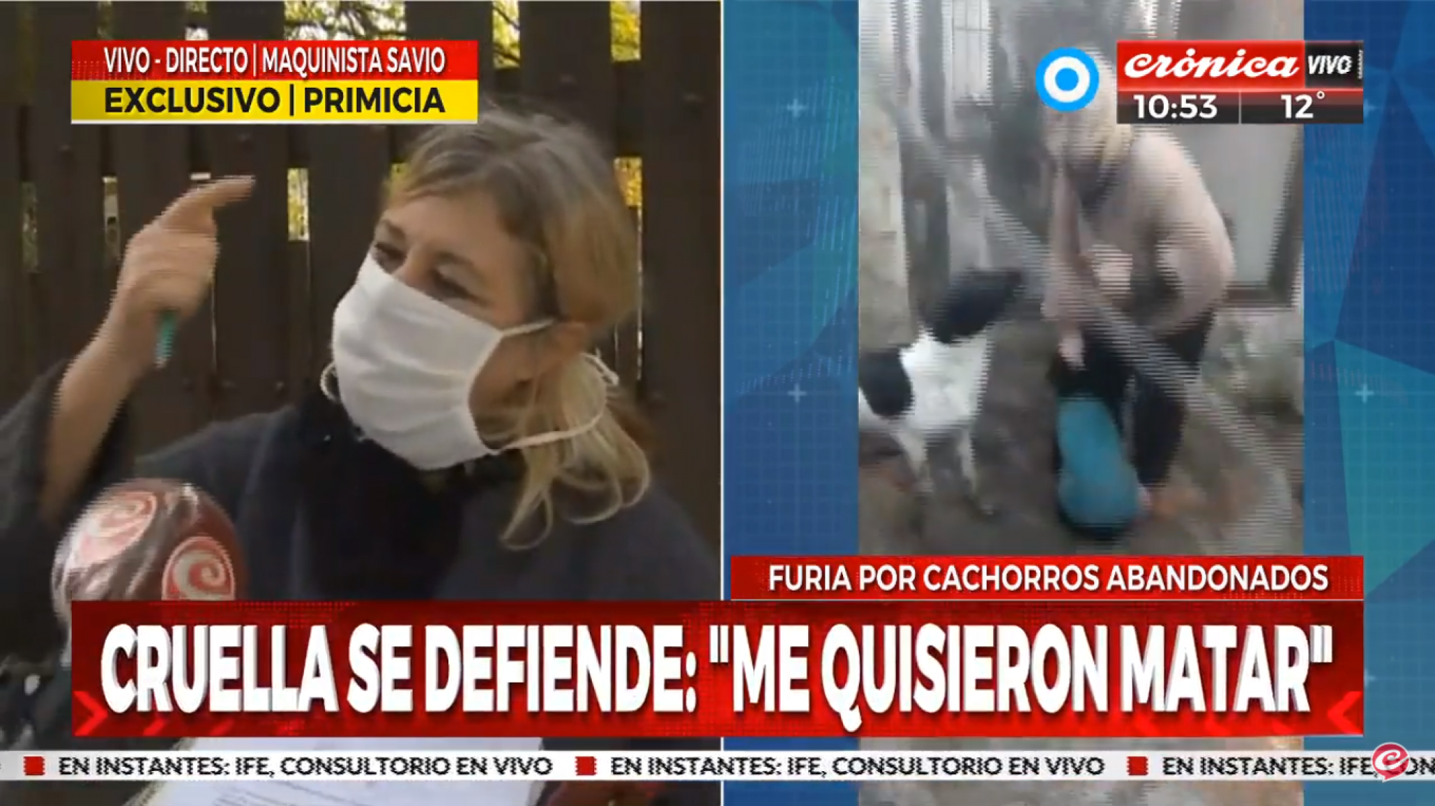Denuncian a una mujer por maltrato animal