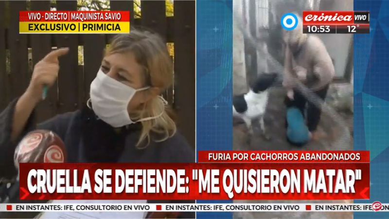 Denuncian a una mujer por maltrato animal