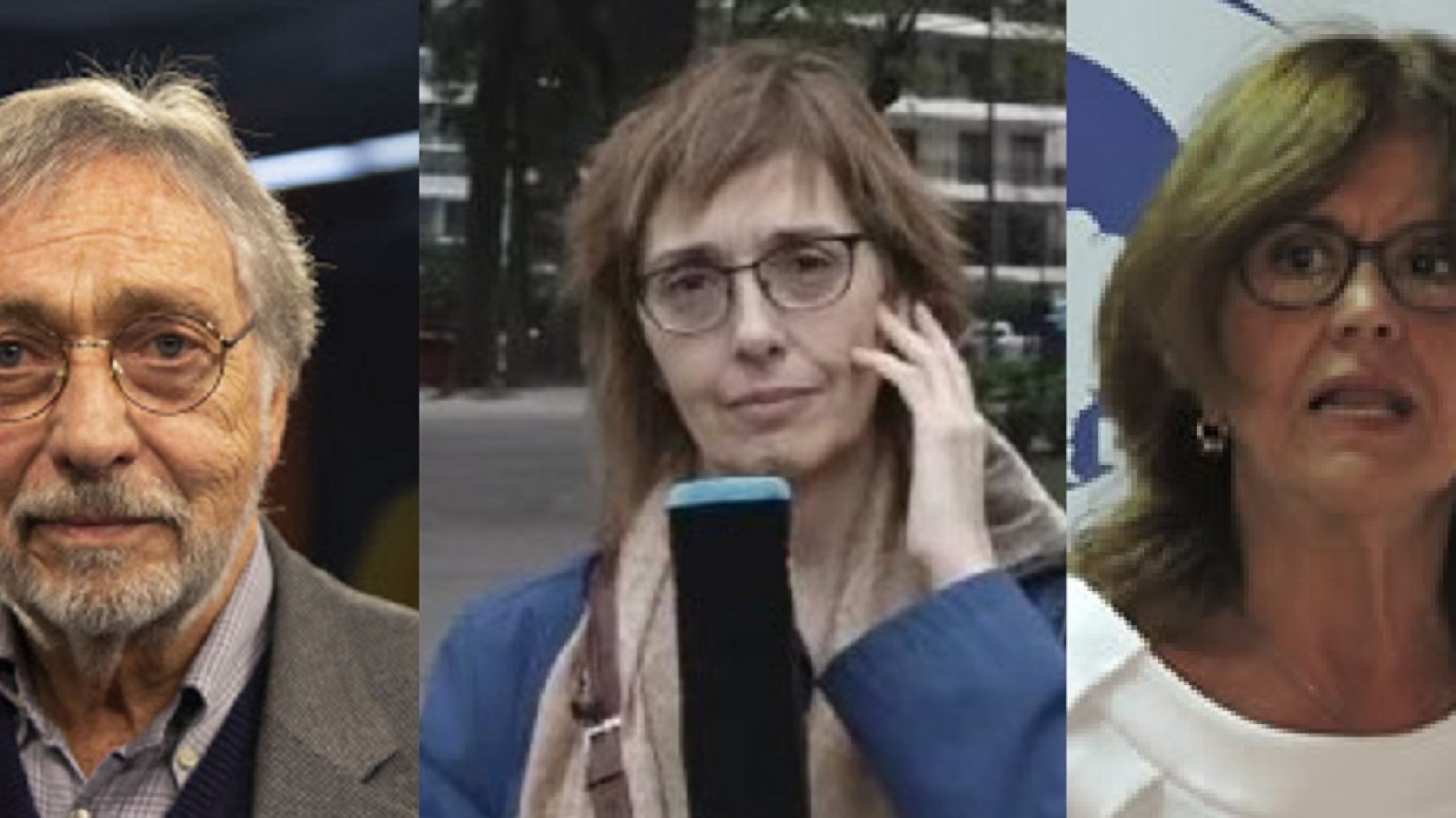 Luis Brandoni, Sandra Pitta y otros 300 intelectuales plantearon que se vive una “infectadura”