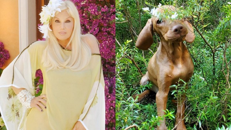 Susana Giménez mostró un nueva travesura de Rita: ¡no para de darle dolores de cabeza!