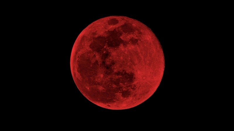 Eclipse “Luna de Fresa”: ¿ se podrá ver hoy desde Argentina?