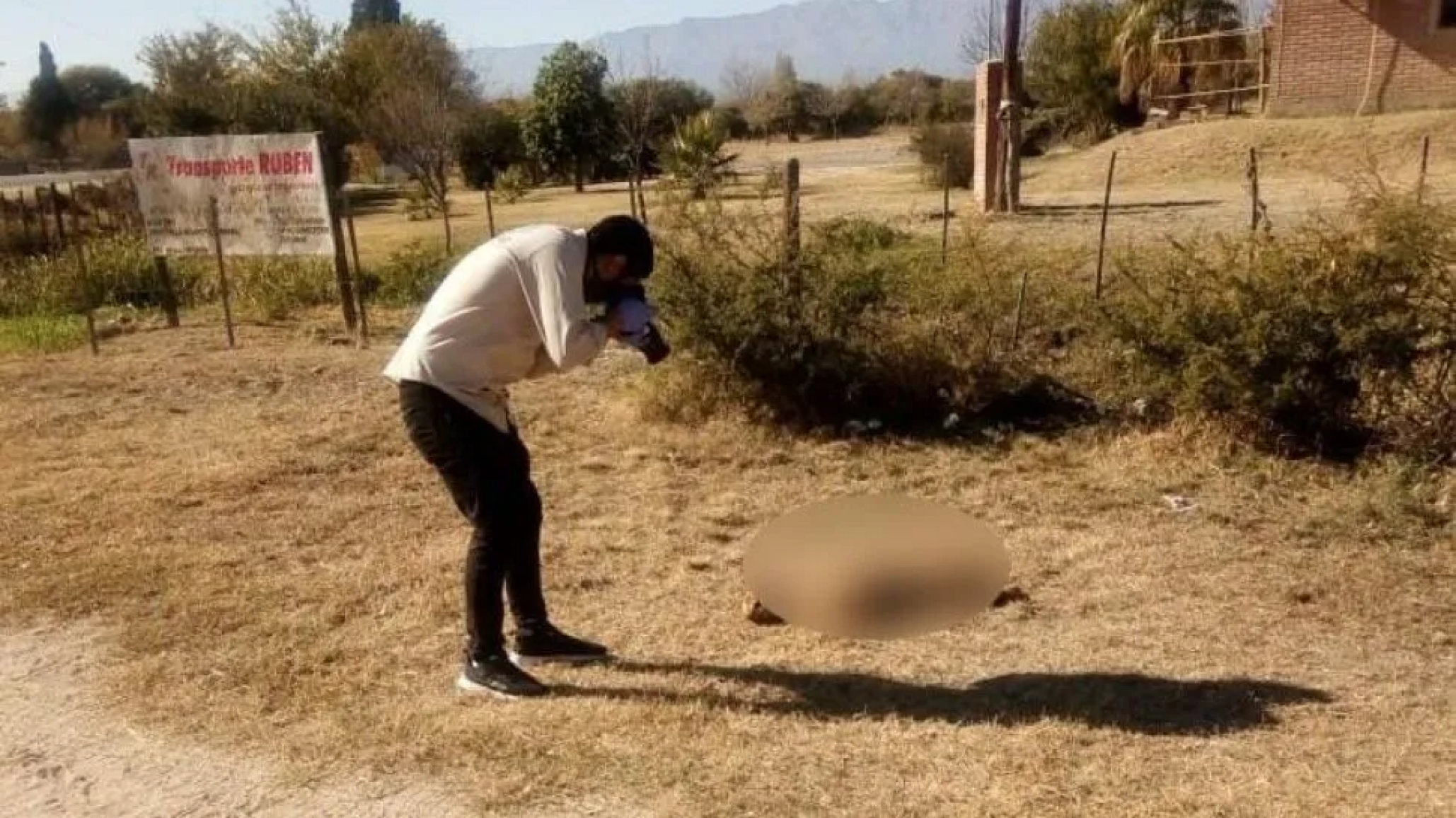 Horrible: una perra fue despellejada