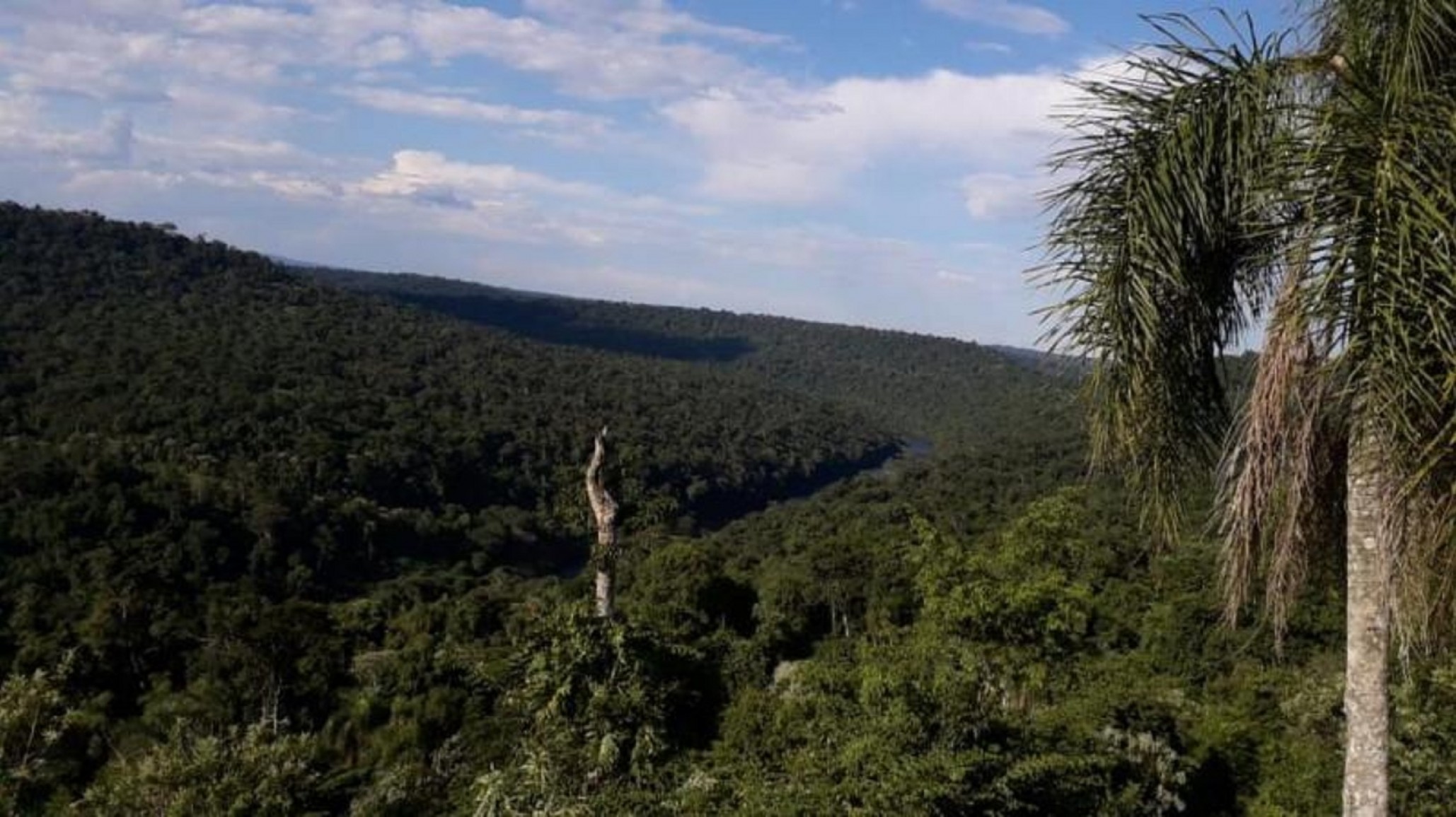 Detuvieron a un concejal de Misiones por cazar en una reserva natural: podría perder su cargo
