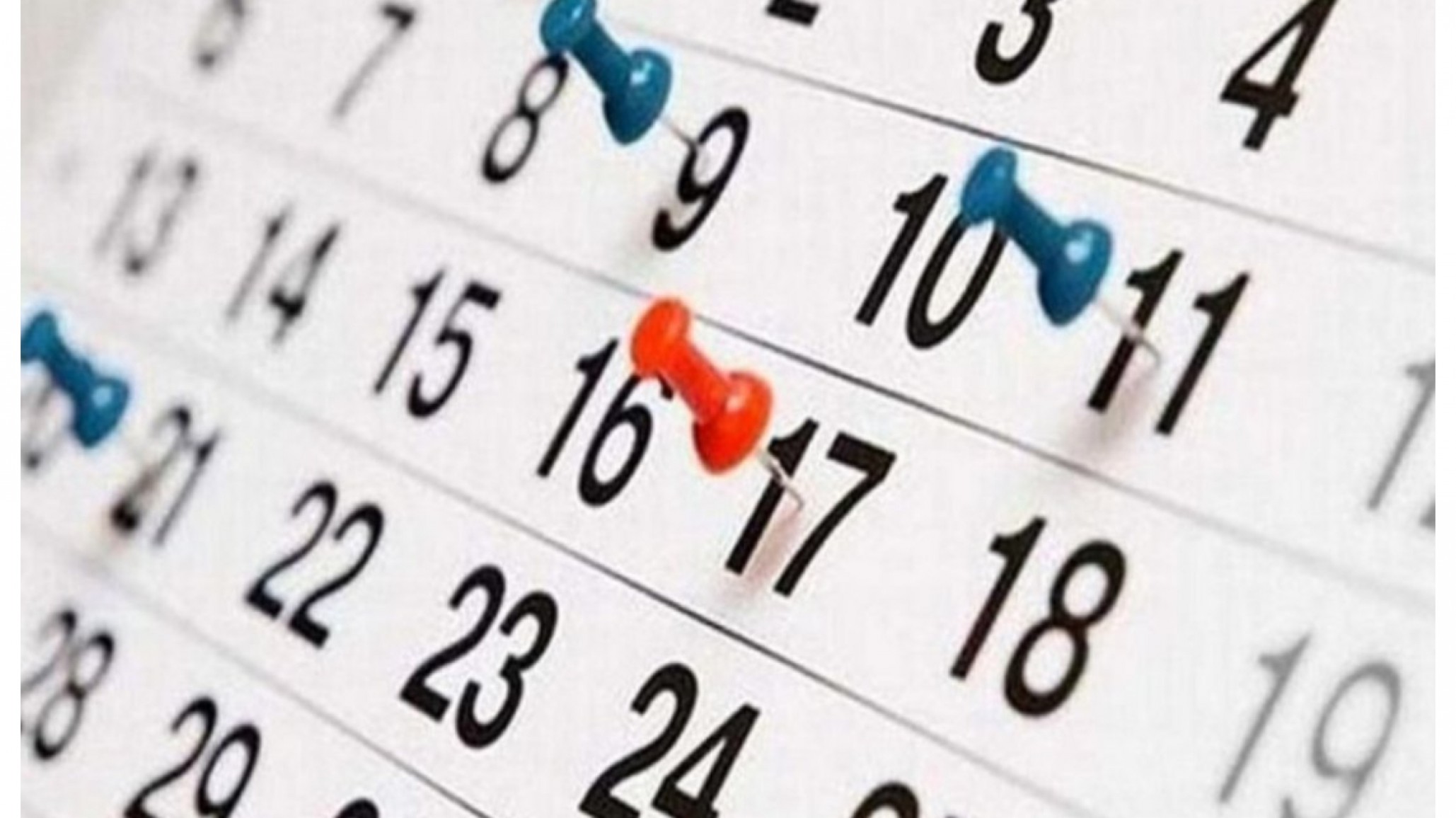 Por el feriado del lunes: ¿Cómo será el cronograma de pagos del IFE la próxima semana?