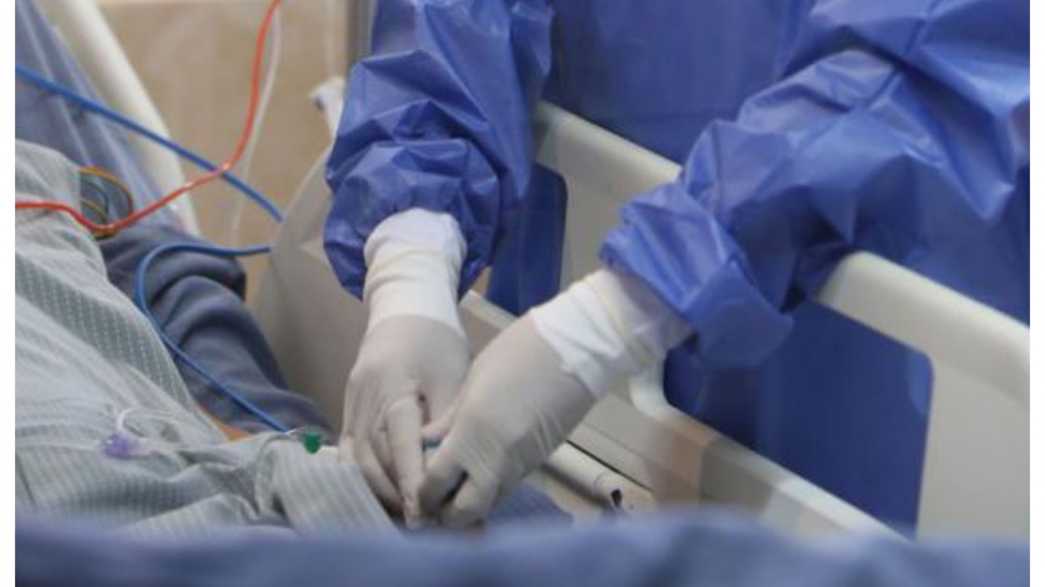 Coronavirus: Científicos determinaron cómo daña al organismo