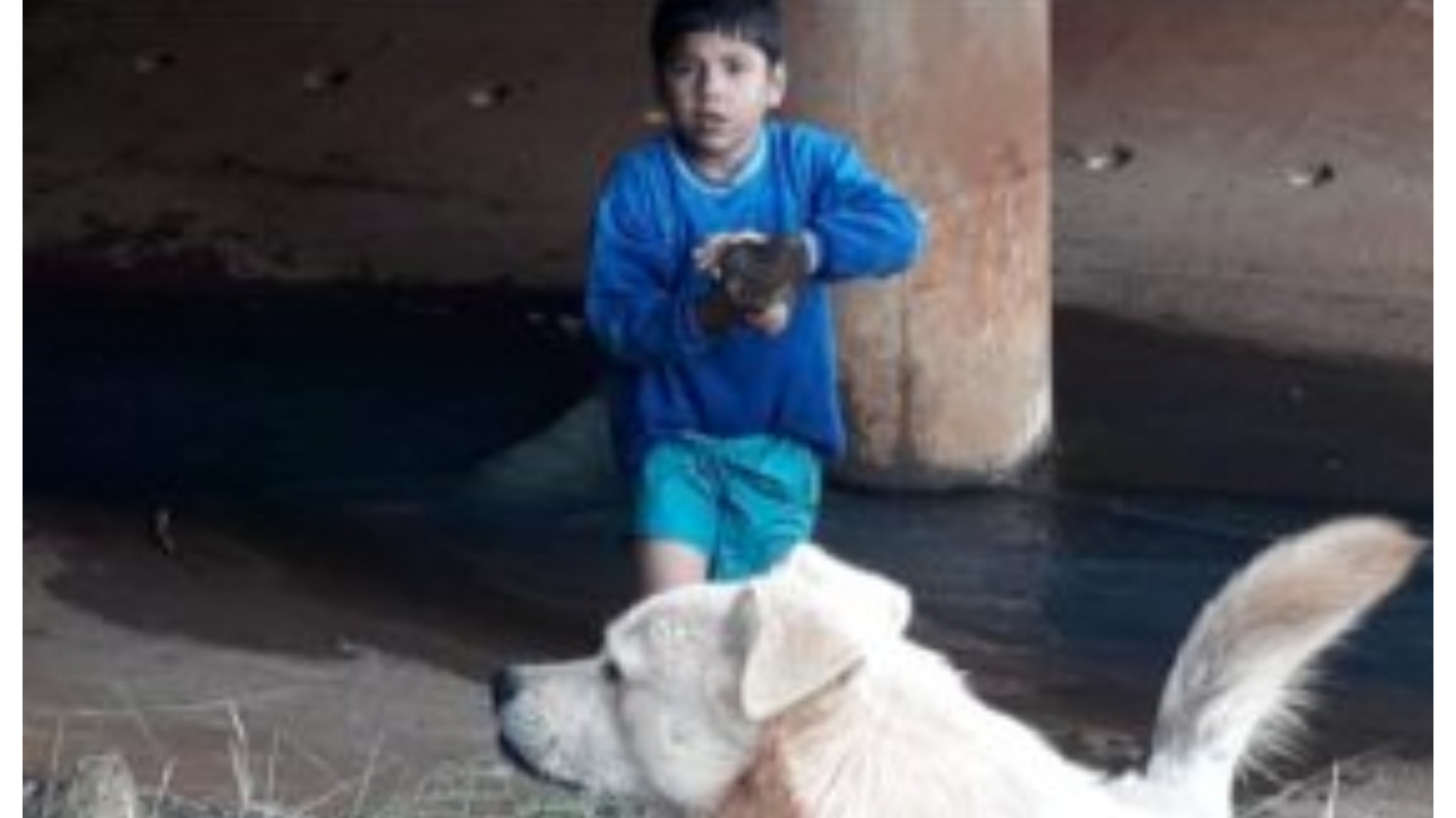 Buscan a un nene de 9 años que desapareció en Misiones