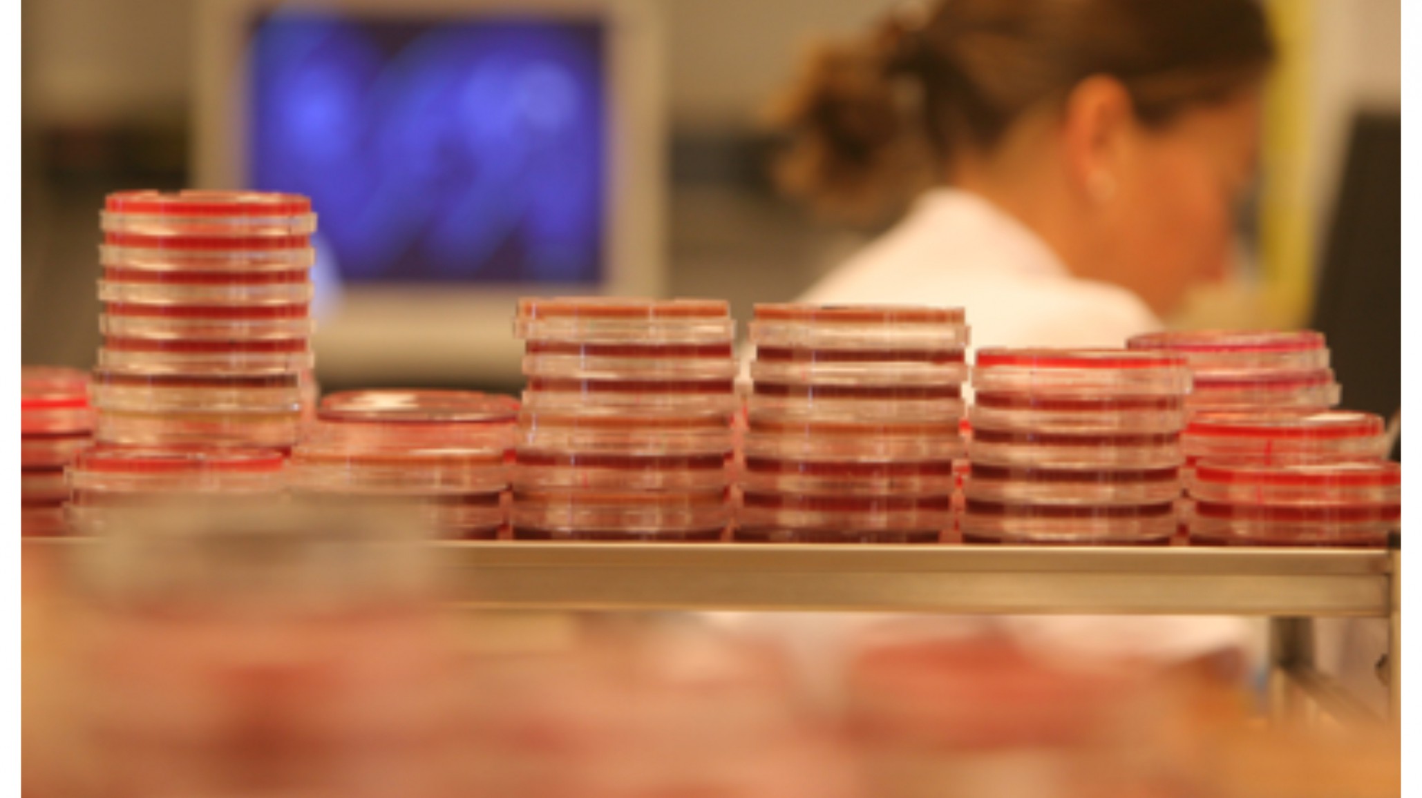 China: la fuga de una bacteria de un laboratorio enfermó a más de 3 mil personas