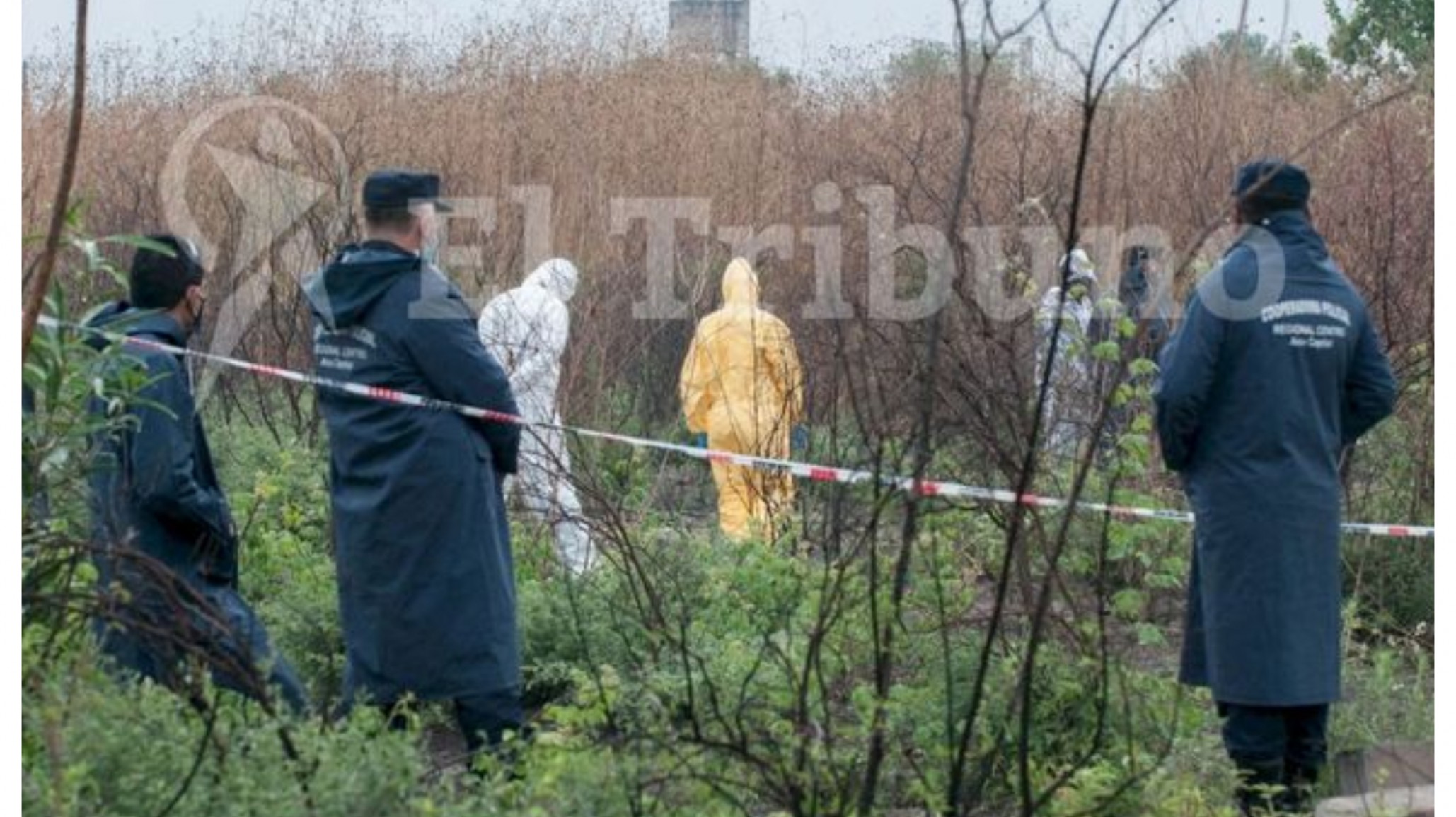 Macabro: hallaron el cuerpo de una mujer en avanzado estado de descomposición