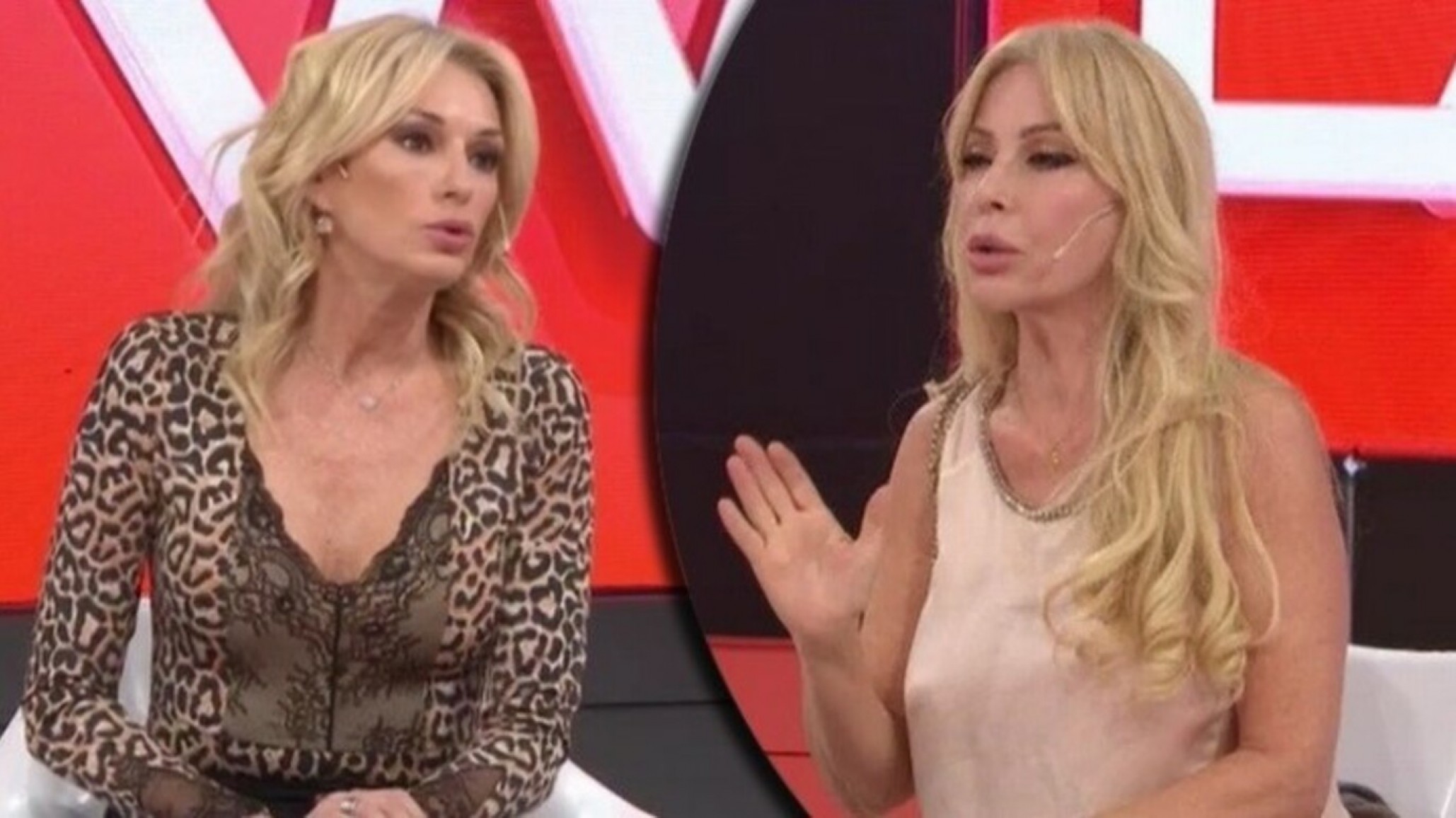 Nuevo round: Graciela Alfano aseguró que Yanina Latorre “le juega en contra” a De Brito