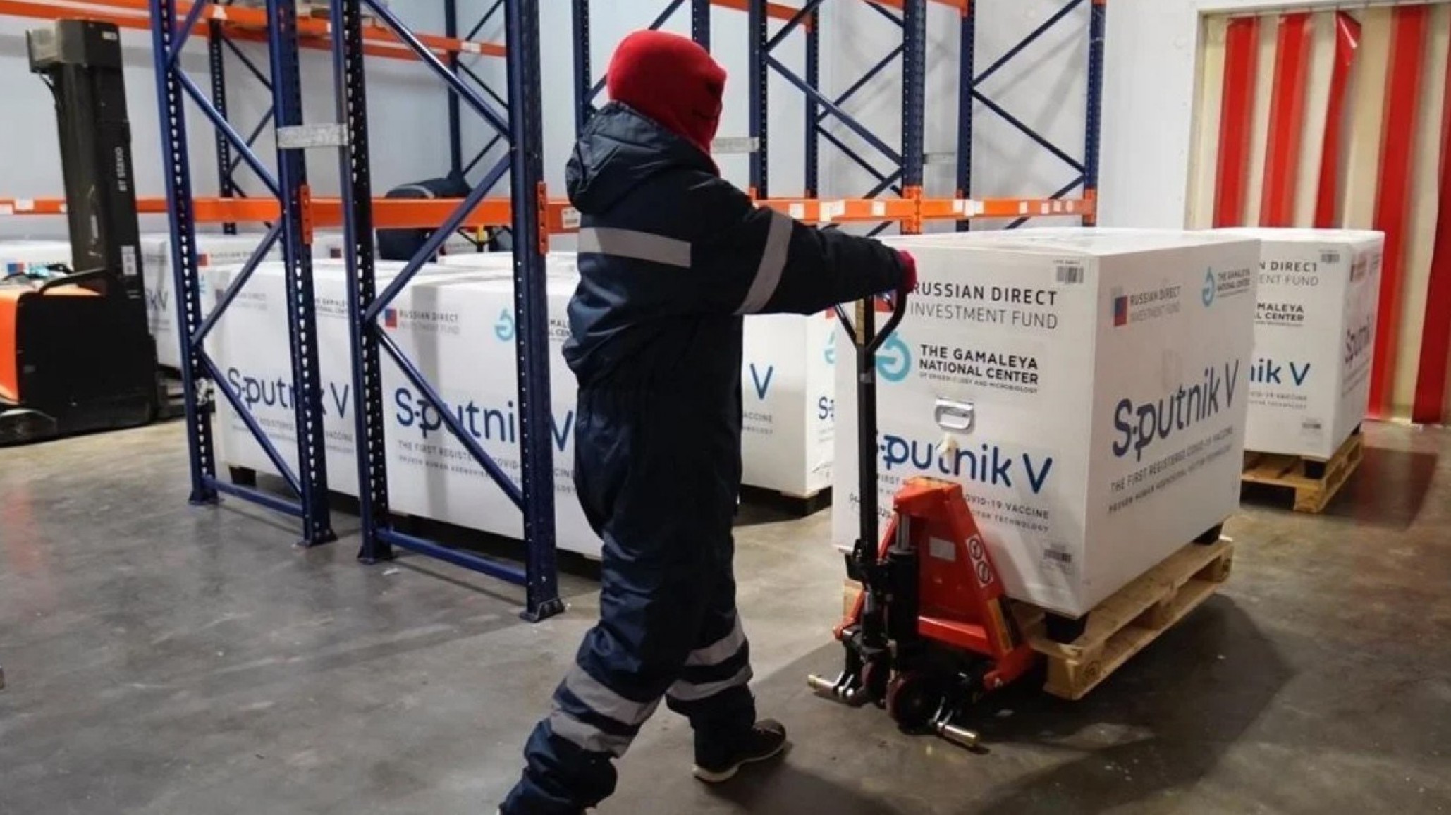 Las 300 mil dosis de vacunas fueron distribuidas en las provincias