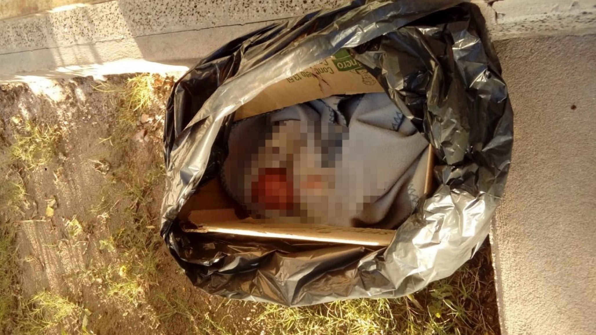 Encuentran a una beba de 7 días abandonada en un predio municipal