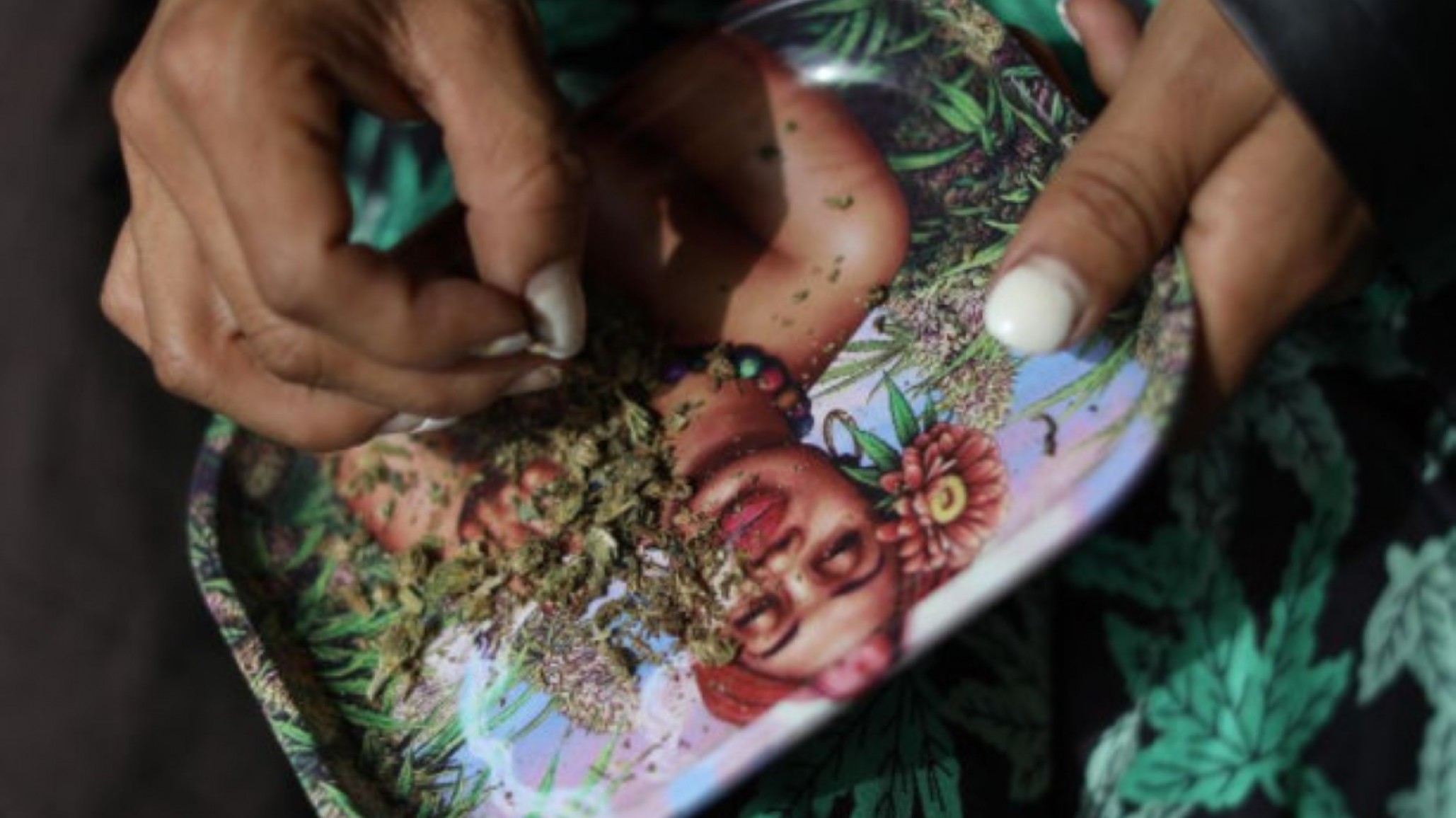 En México se podrá consumir marihuana si “se pide un permiso”