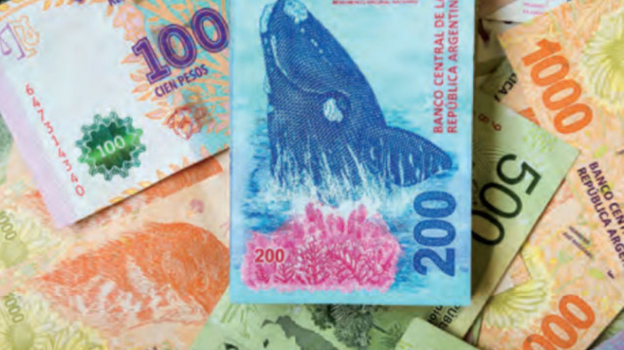 Anses: ¿quién cobra el bono de hasta $31400?