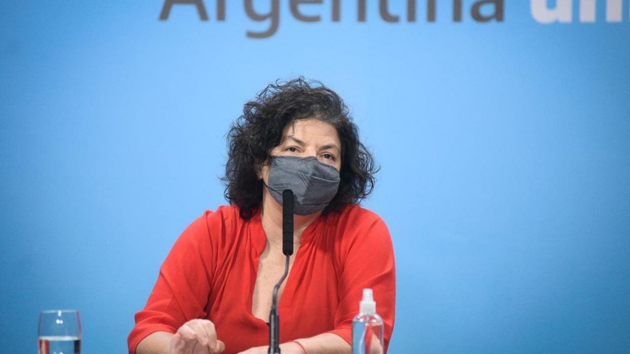 Carla Vizzotti consideró que la polémica por los 10 mil penes de madera confirma la necesidad de ESI