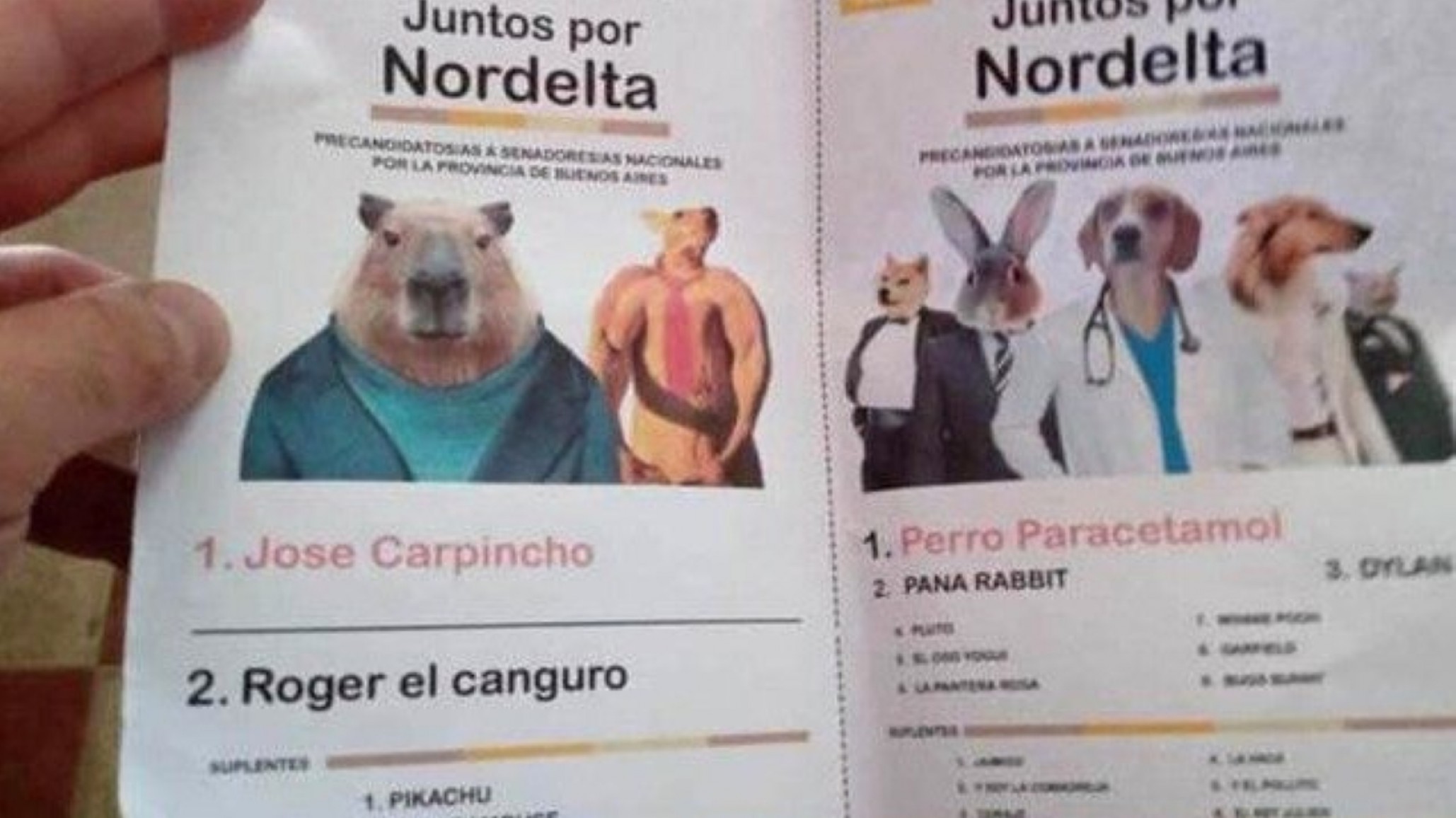 En una escuela, Moreno y Cinthia Fernández sacaron menos votos que un carpincho