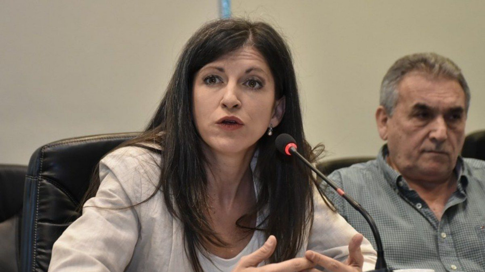 Diputado presentará un proyecto para excluir de la Cámara a Fernanda Vallejos