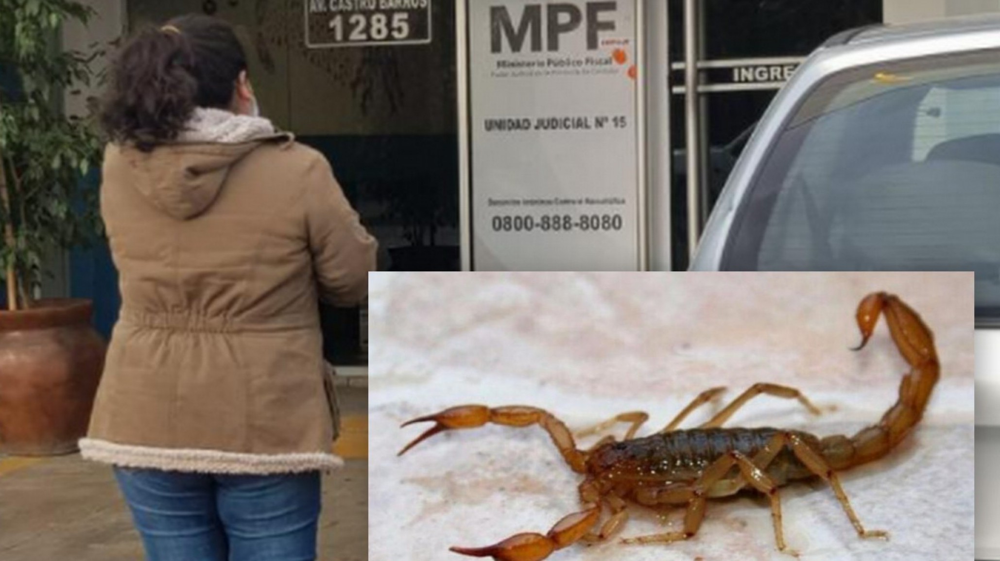 Madre de niño picado por alacrán que le puso un compañero por “gordito” denunciará a la escuela