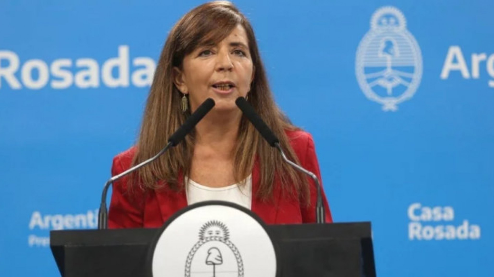 Gabriela Cerruti aclaró que el tratamiento exprés de 116 DNU “es un trámite normal”