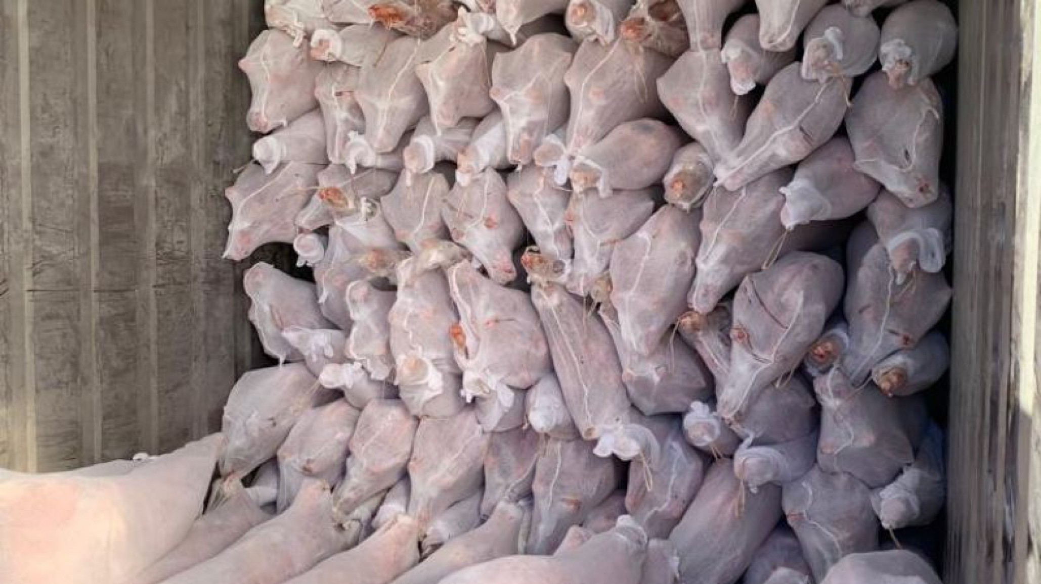 Un frigorífico de Comodoro envió carne congelada a Qatar