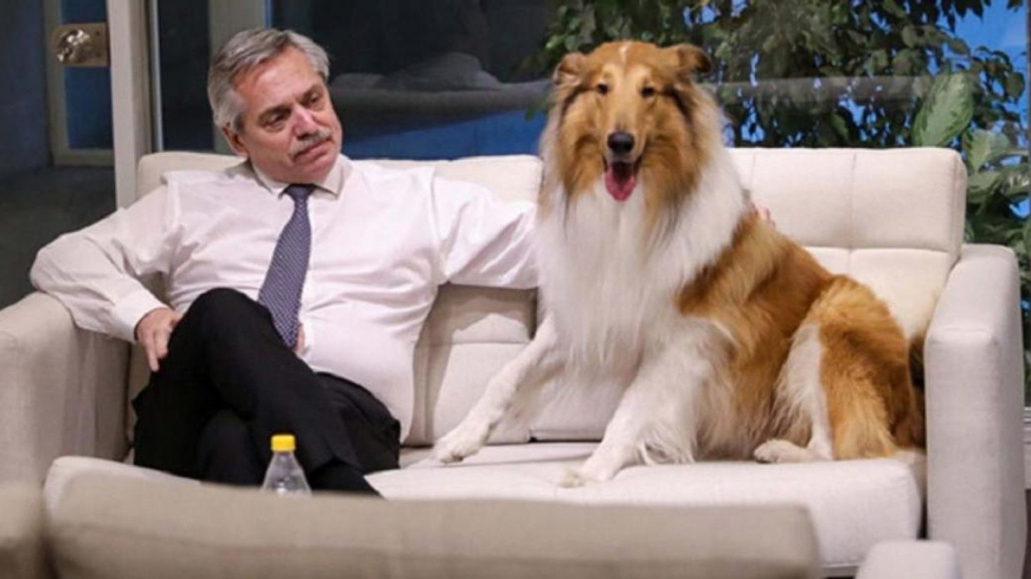 Desde la cuenta de Instagram de Dylan negaron que el nuevo nombrado en el Ministerio de Seguridad haya adiestrado al perro de Fernández