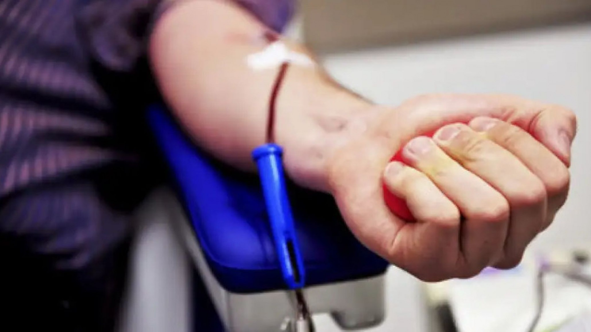 Urgente llamado a la solidaridad: Se requieren 60 donantes de plaquetas para Leonardo