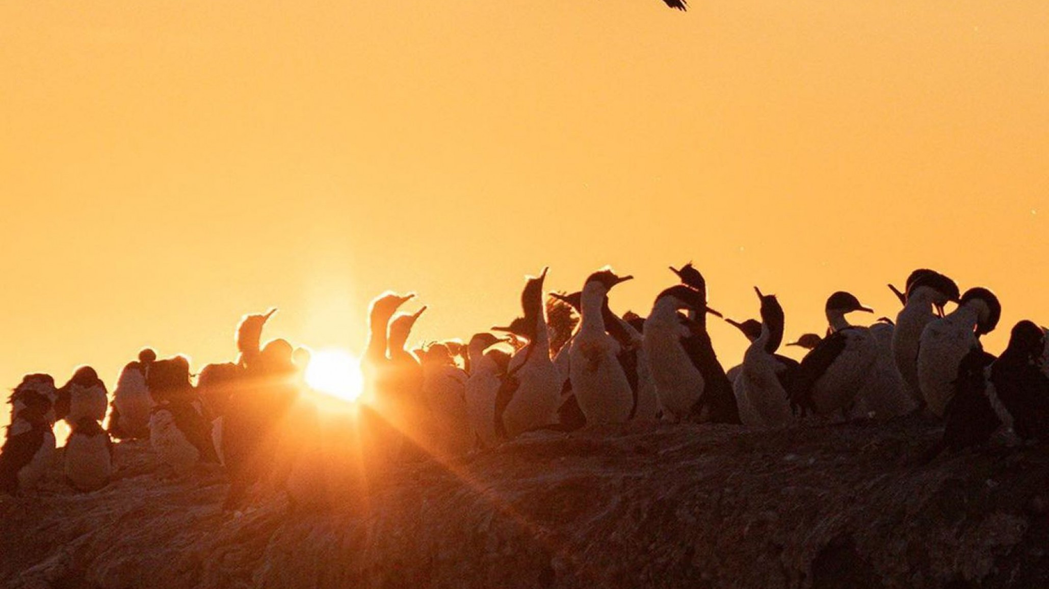 El SMN anuncia posibilidad de chaparrones y la máxima llegará a 16º