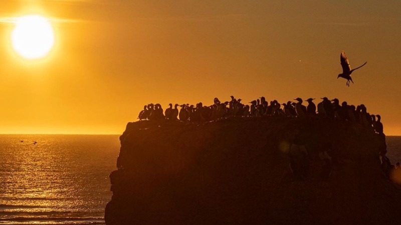 Este domingo habrá viento y un leve ascenso de la temperatura