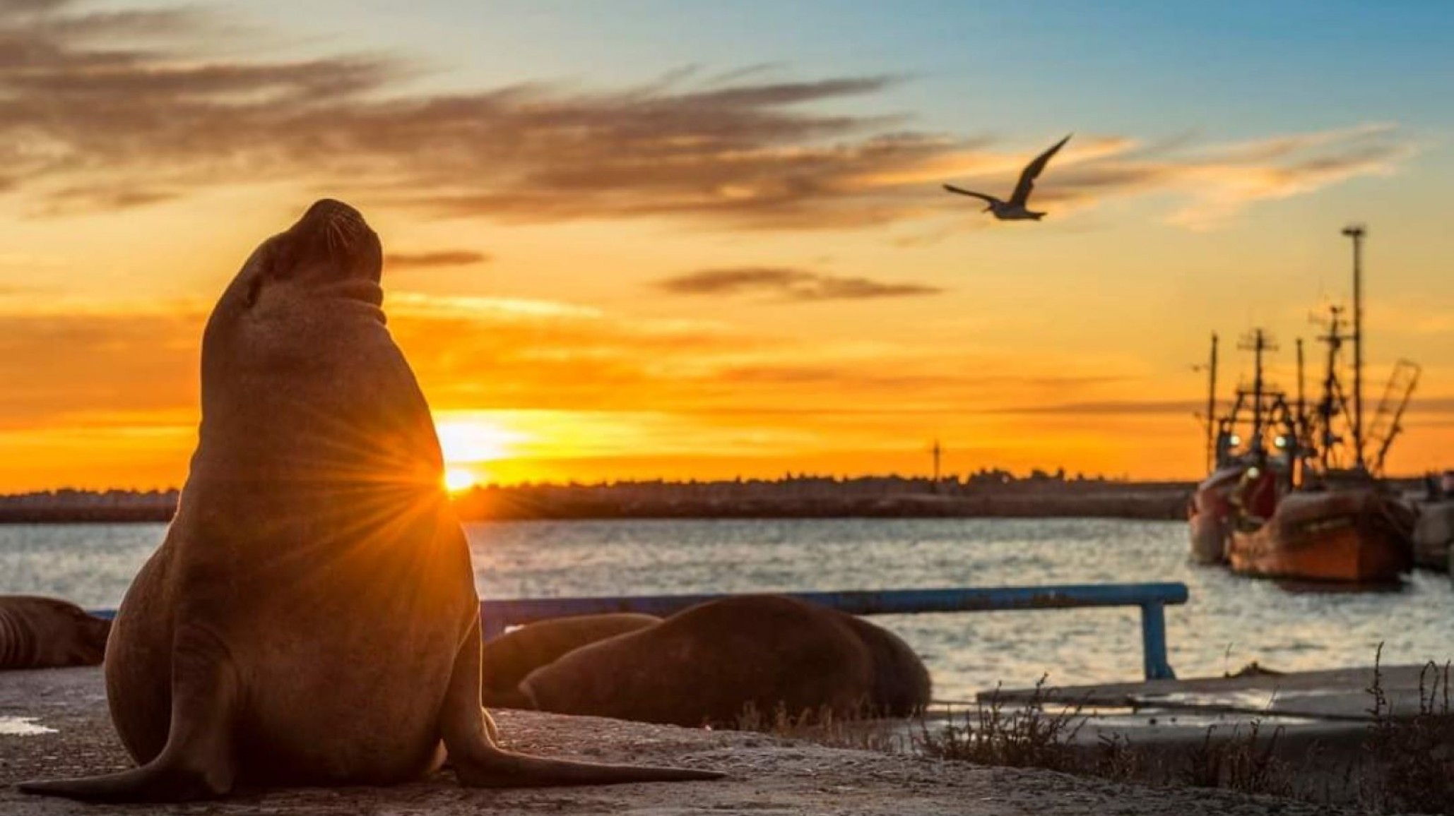 Martes: qué dice el pronóstico este martes