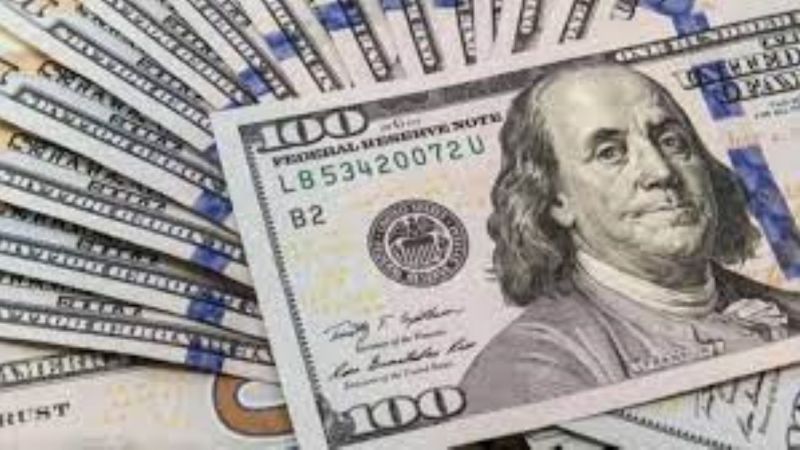 Adorni le echó la culpa de la suba del dólar a los amparos contra el DNU