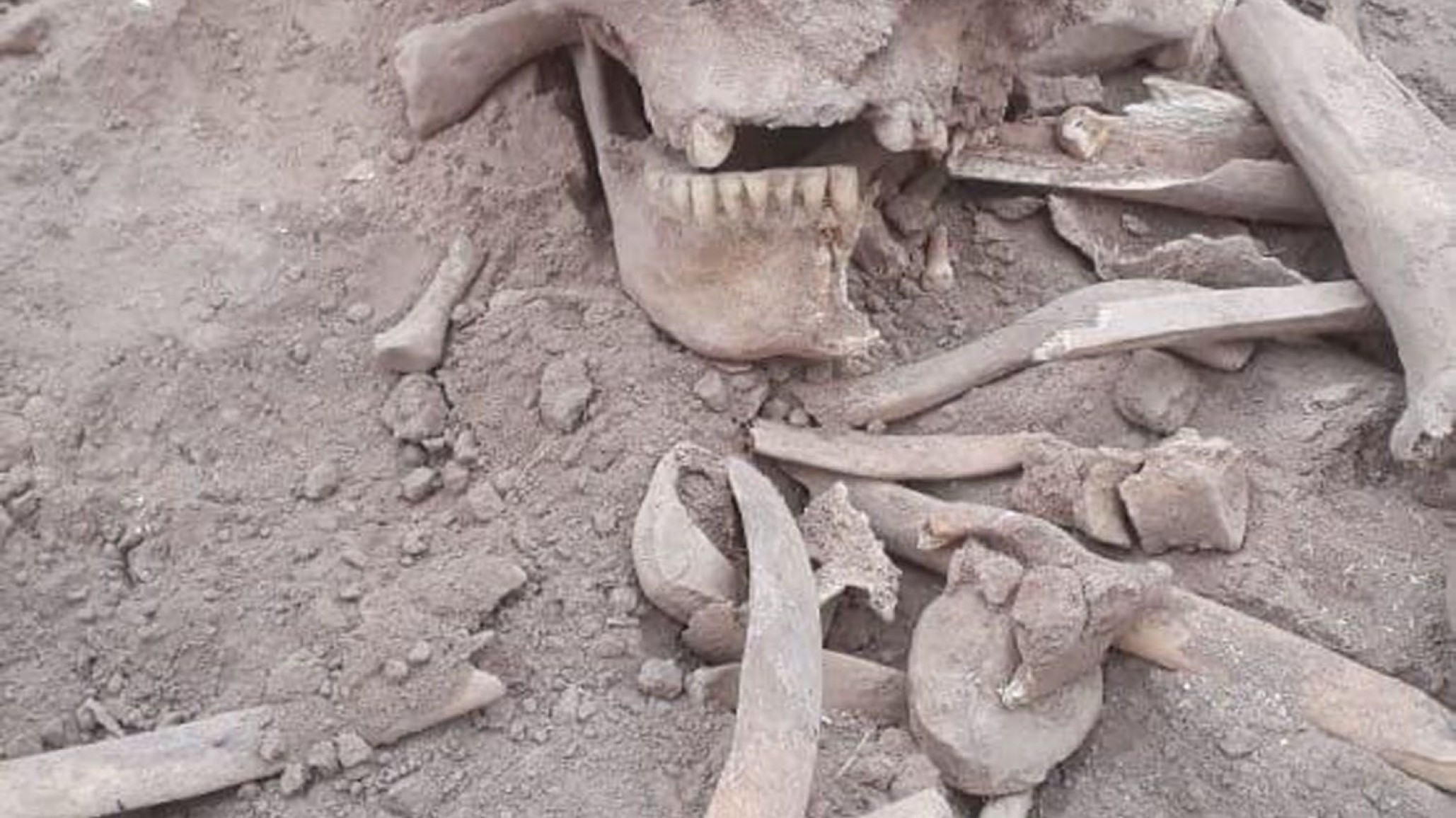 Un hombre estaba pescando en la costa de Comodoro y se encontró con restos óseos