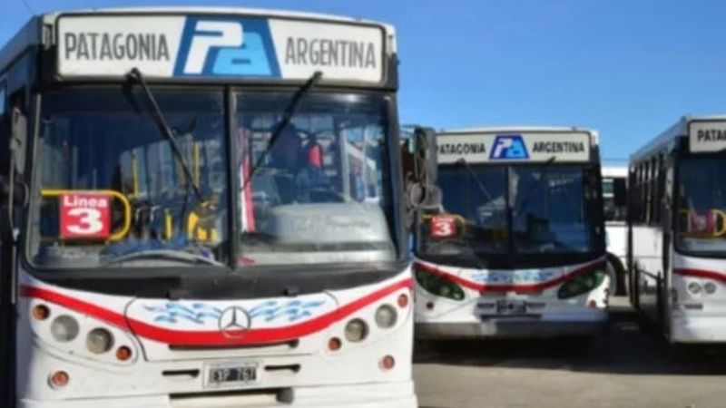 UTA : "El día jueves no habrá colectivos, los compañeros no irán a sus puestos laborales"