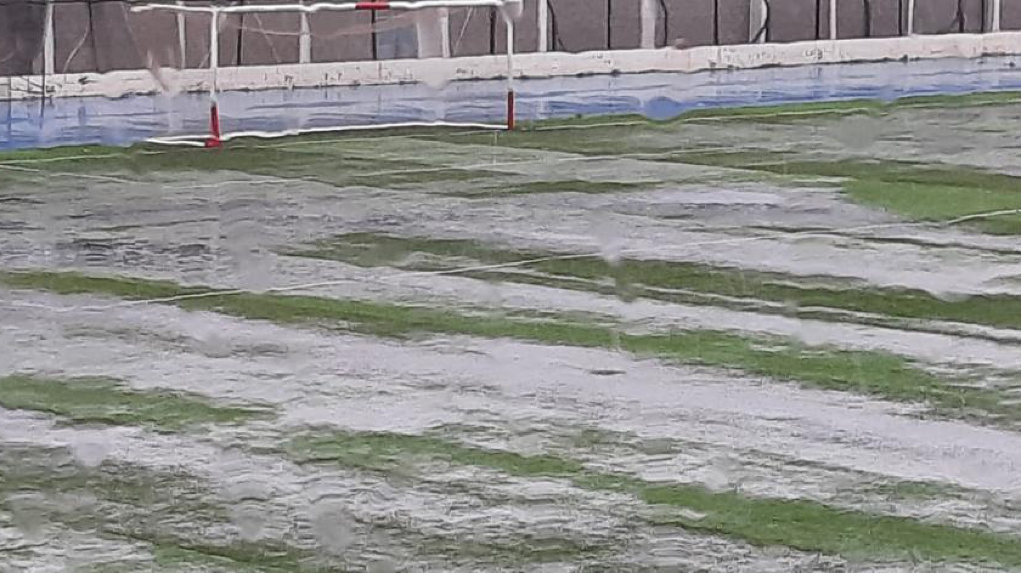 <p>Foto: Patria Austral</p>