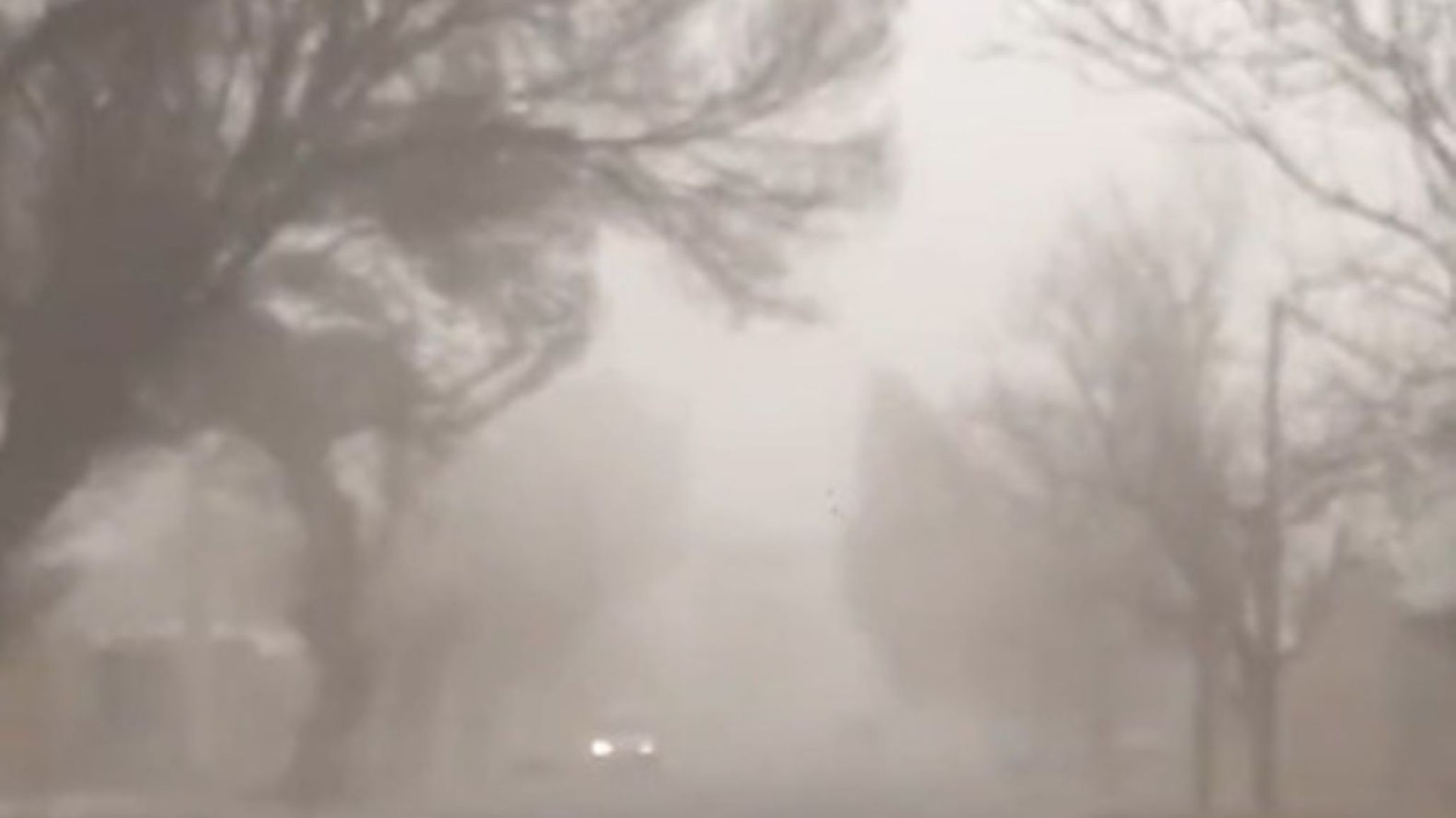 Emitieron alerta amarilla por fuertes vientos en Chubut: prevén ráfagas de hasta 90 km/h