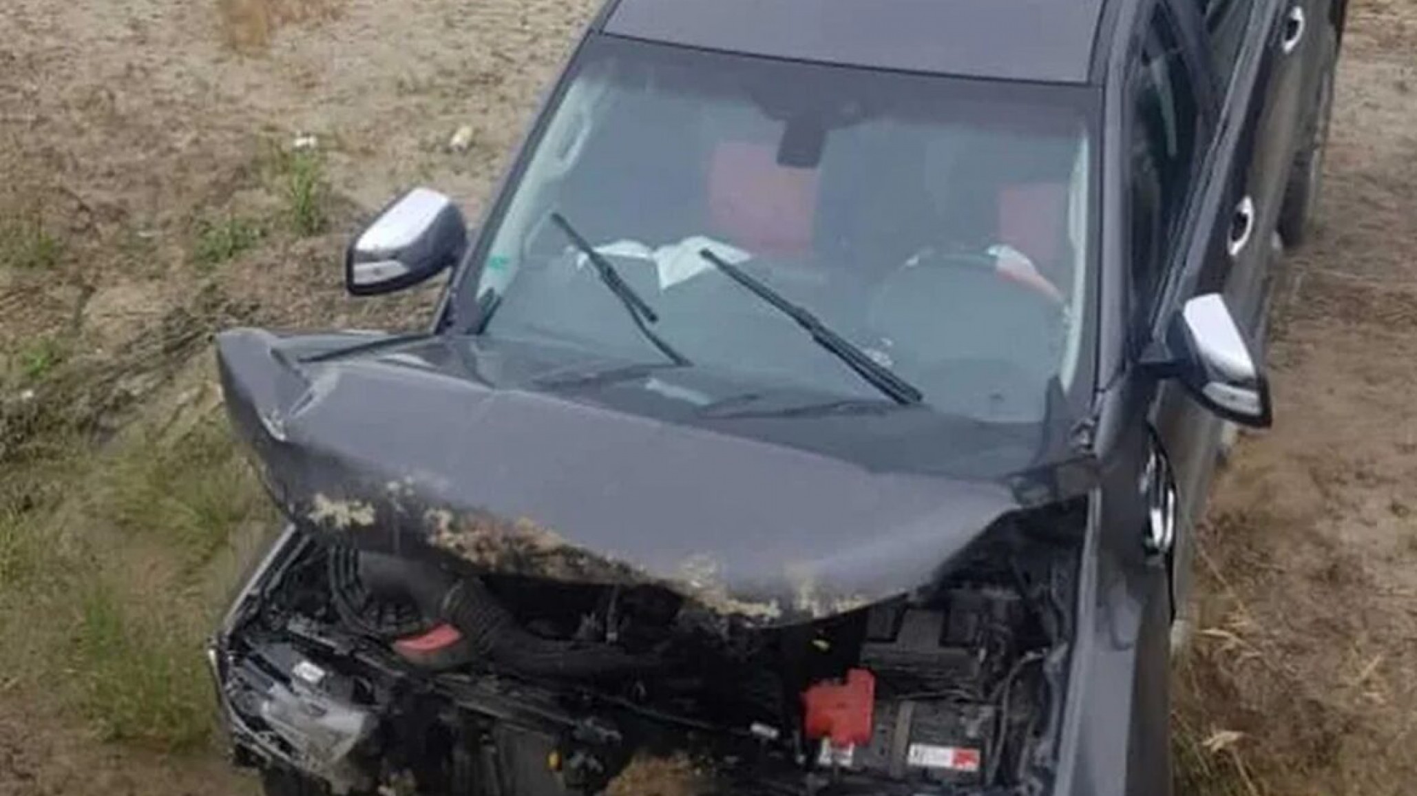 <p>Foto: Patria Austral</p>