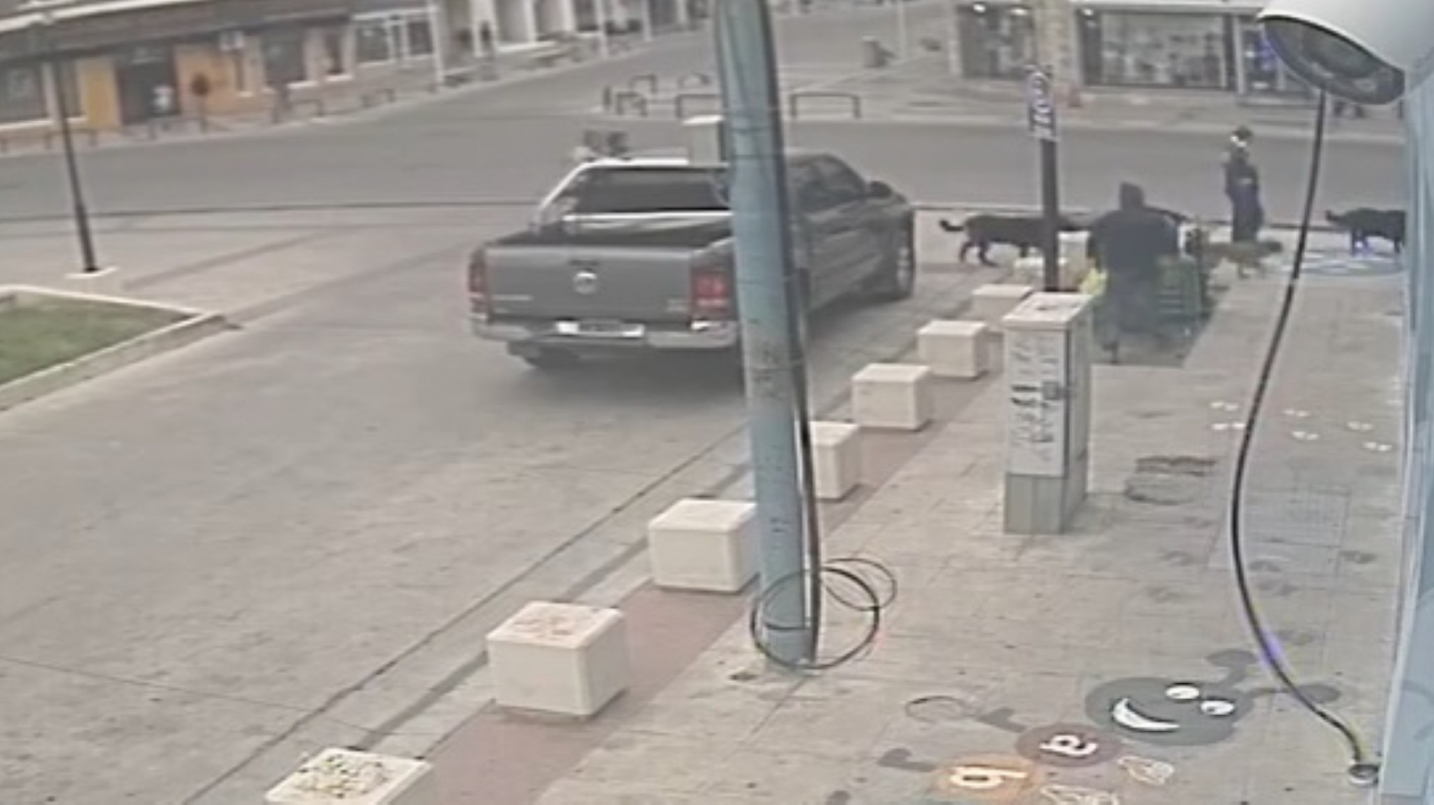 <p>Foto: Hola Juguetes</p>