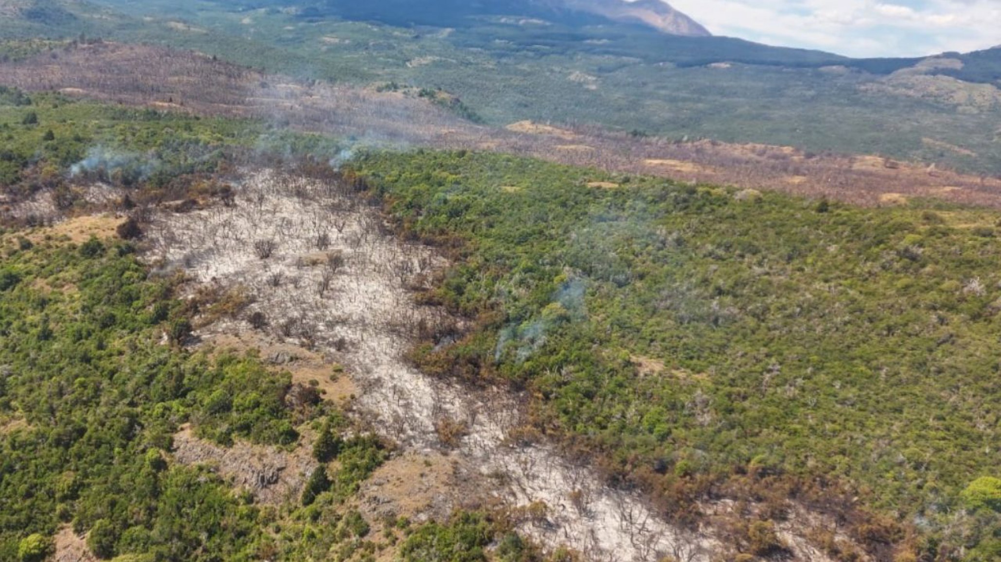 Brigadistas continúan trabajando en el incendio cercano al Parque Nacional ?Los Alerces?