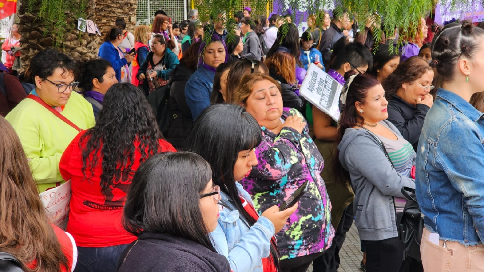 <p>Foto: @ElComodorense</p>