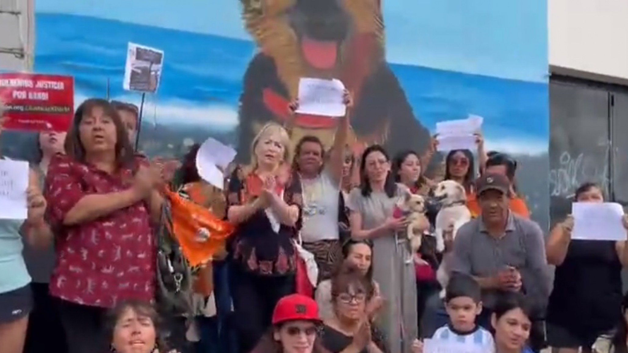 <p>Video: El Comodorense</p>