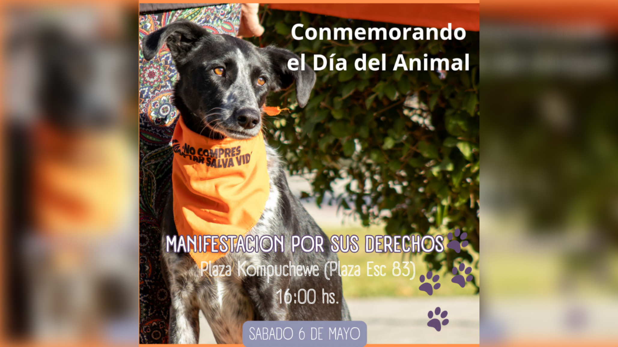 <p>Foto: Radio del Mar</p>