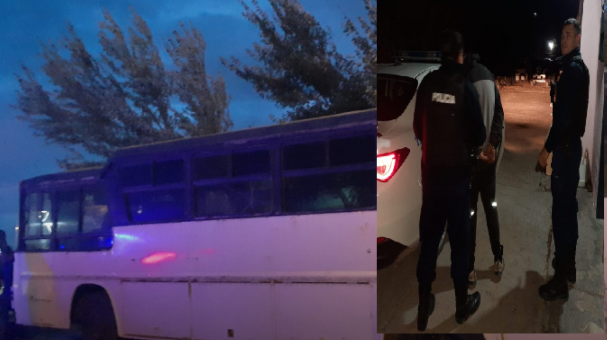 Dos menores intentaron robar en un colectivo