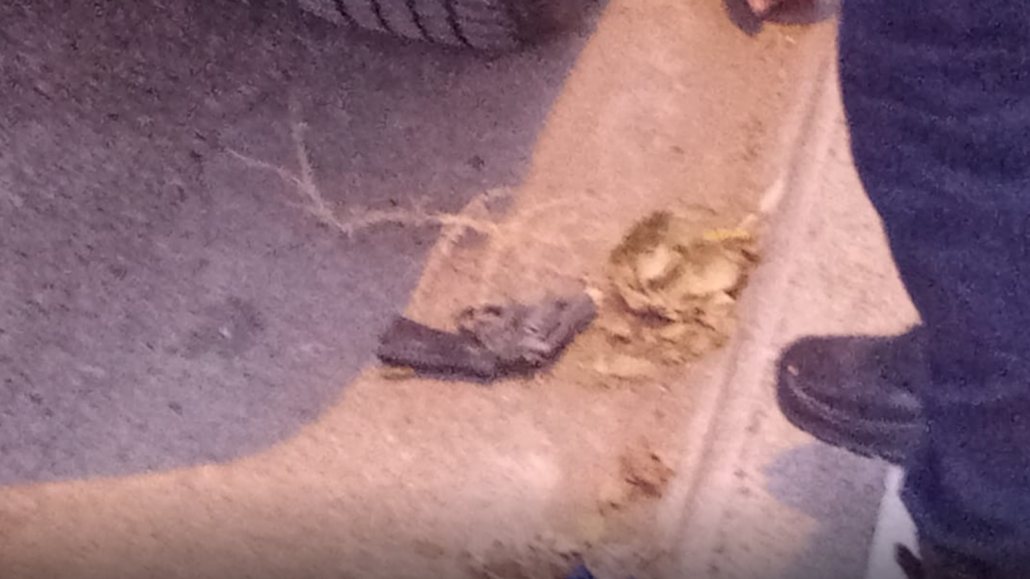 Pareja quedó detenida, él descartó un arma de fuego y ella agredió a policía