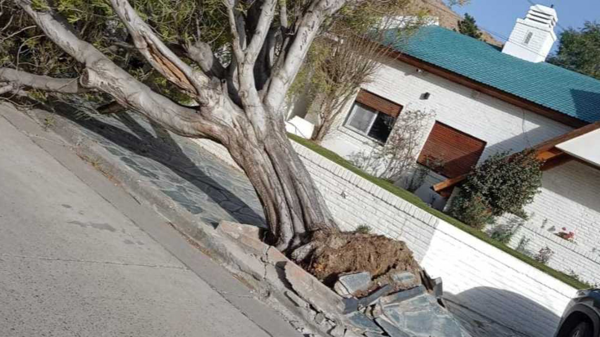 <p>Foto: Con sello patagónico</p>