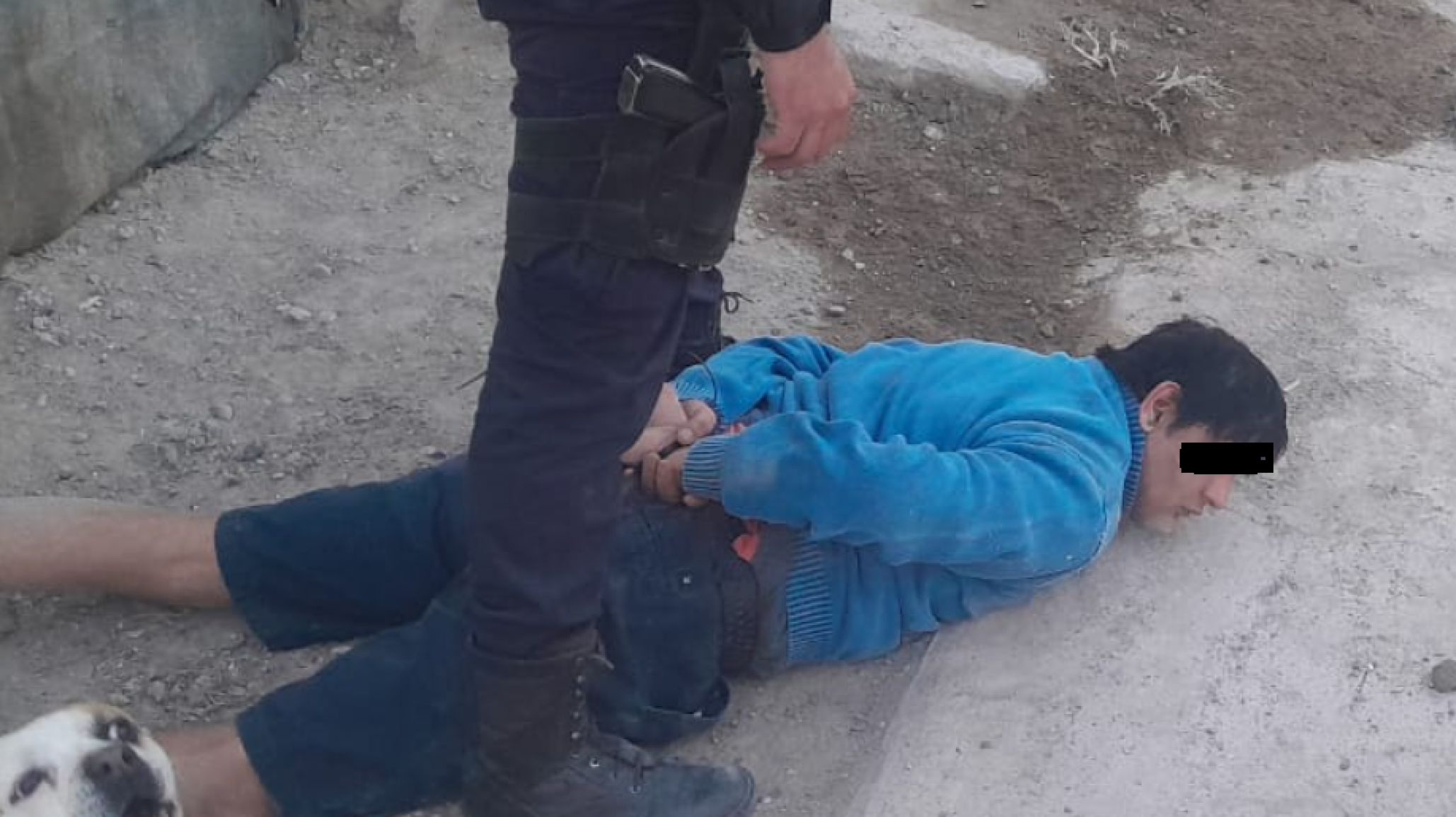 Tenía una tumbera, se escondió en una casa y vecinos hicieron reclamo a la policía